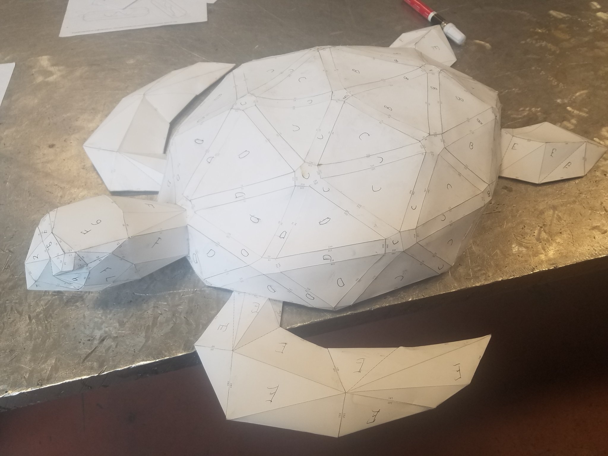 20190410_114617.jpg