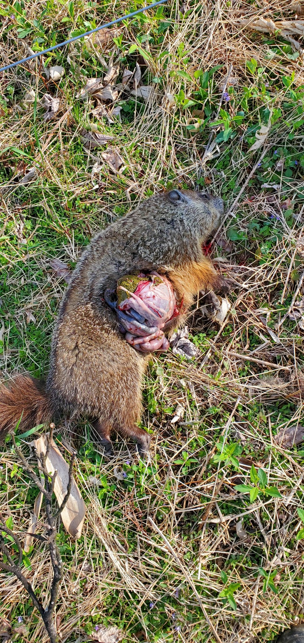 20190418_163552.jpg