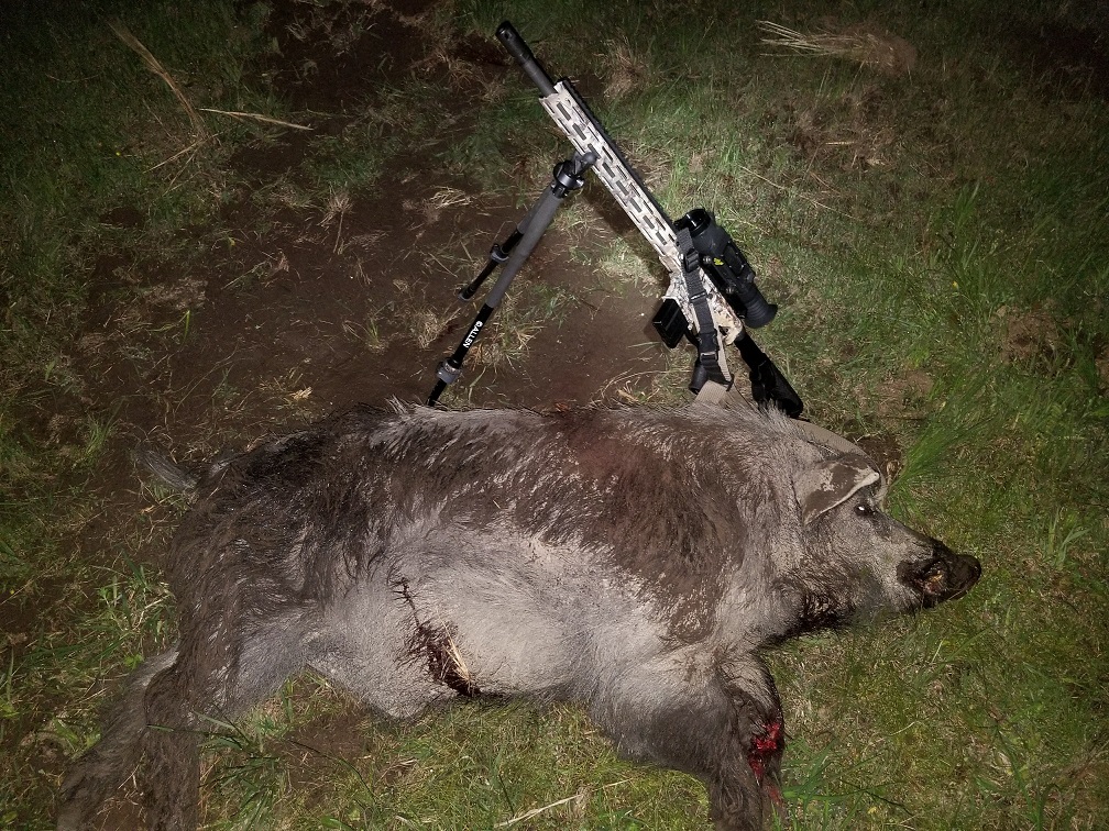 20190429_Kirkus Boar.jpg