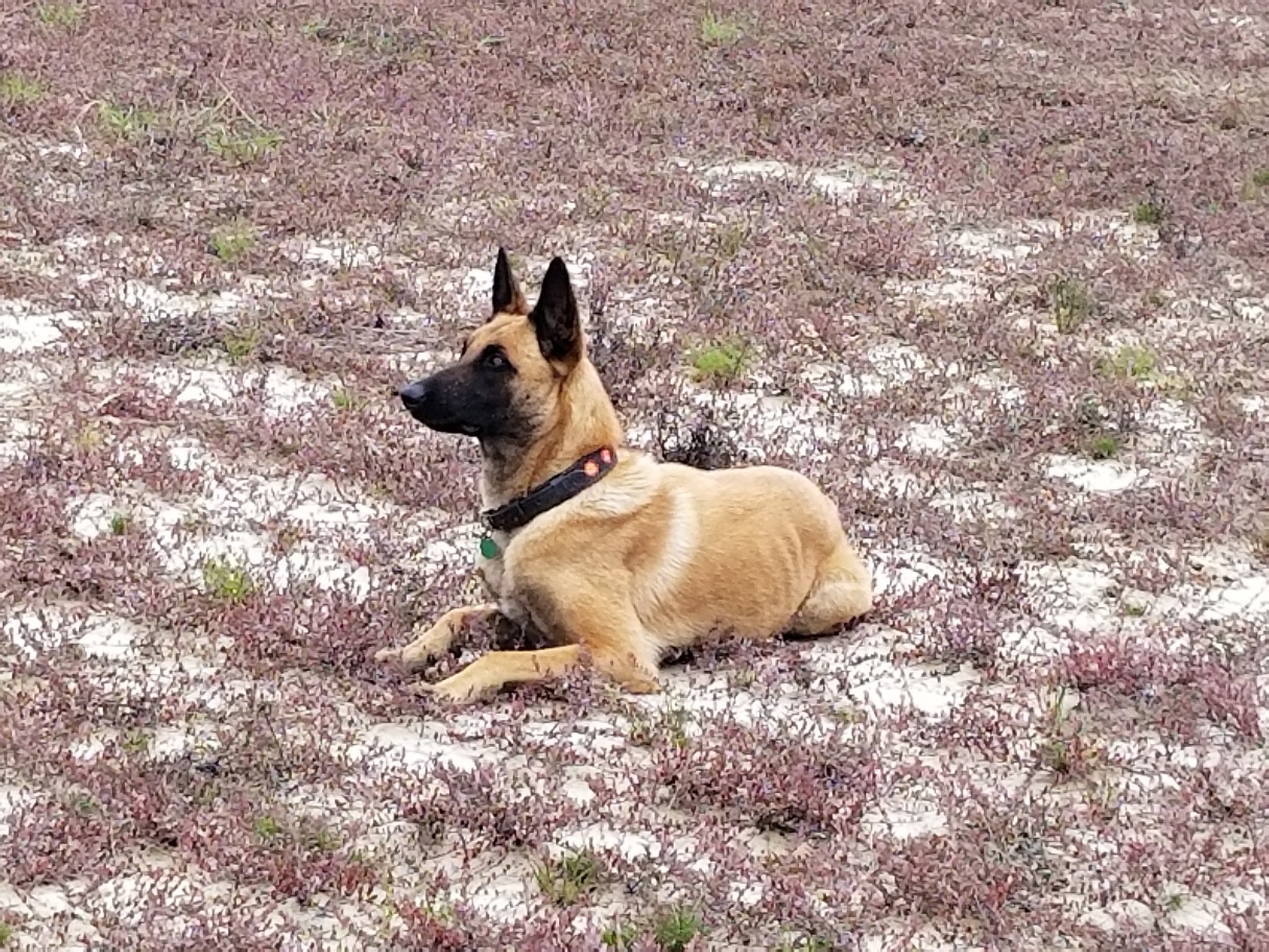 20190501_132644.jpg