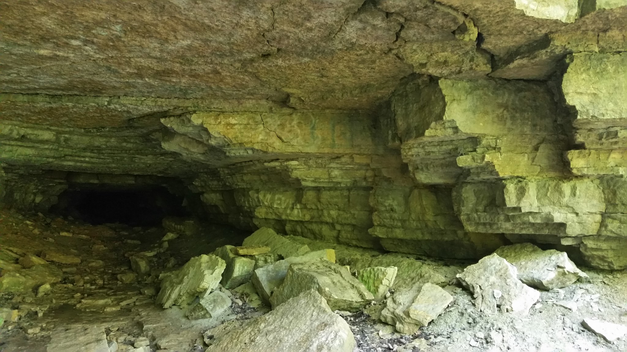 20190505_122701.jpg