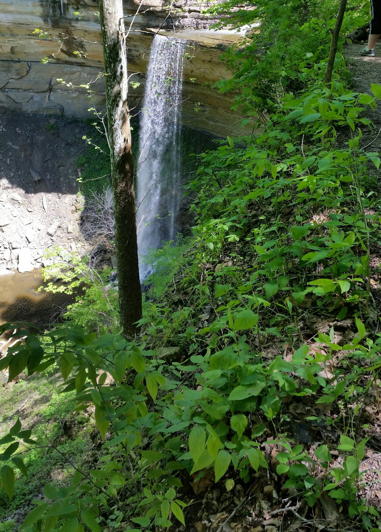 20190505_123623-1-1.jpg