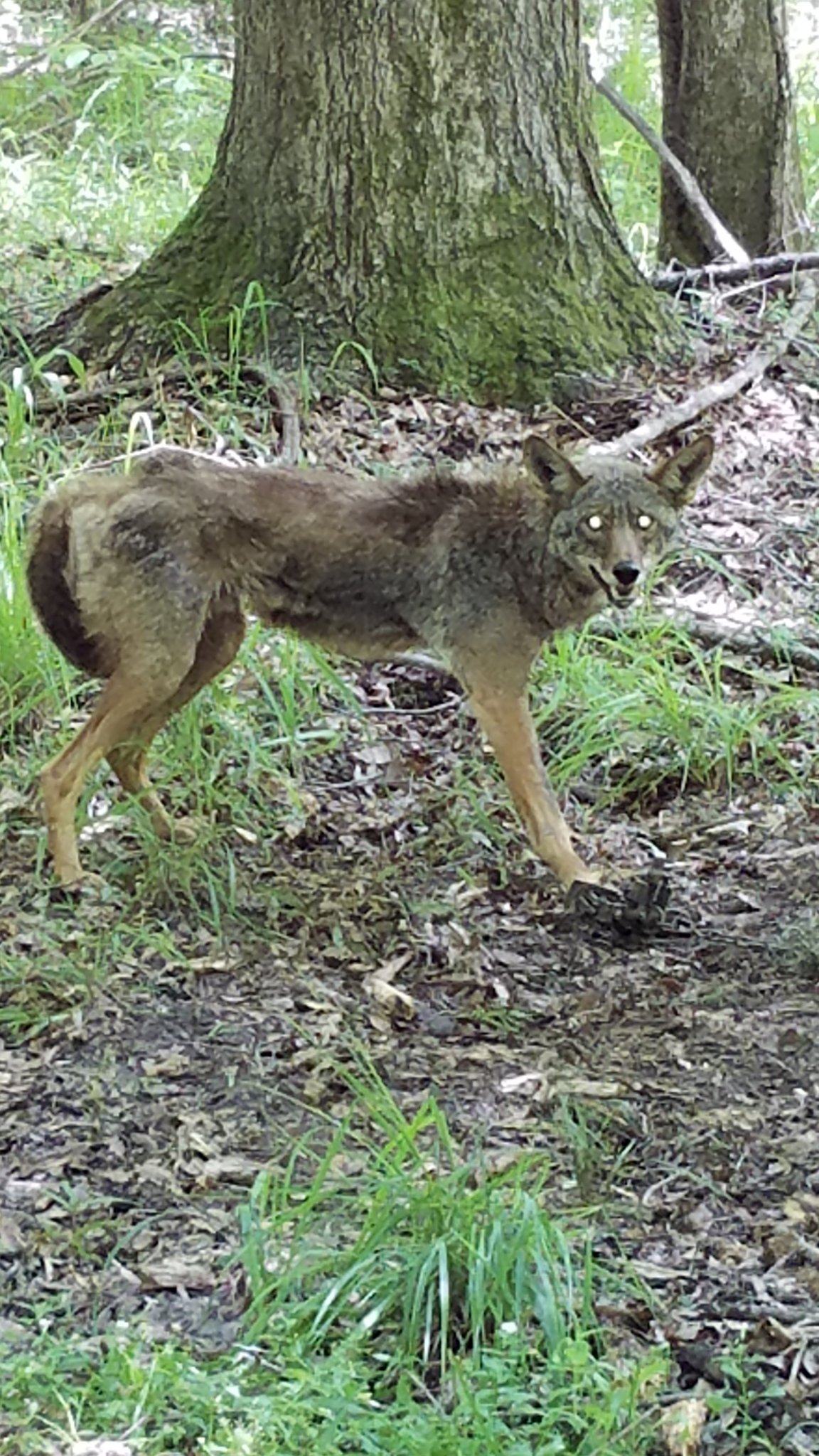 20190506_122157.jpg