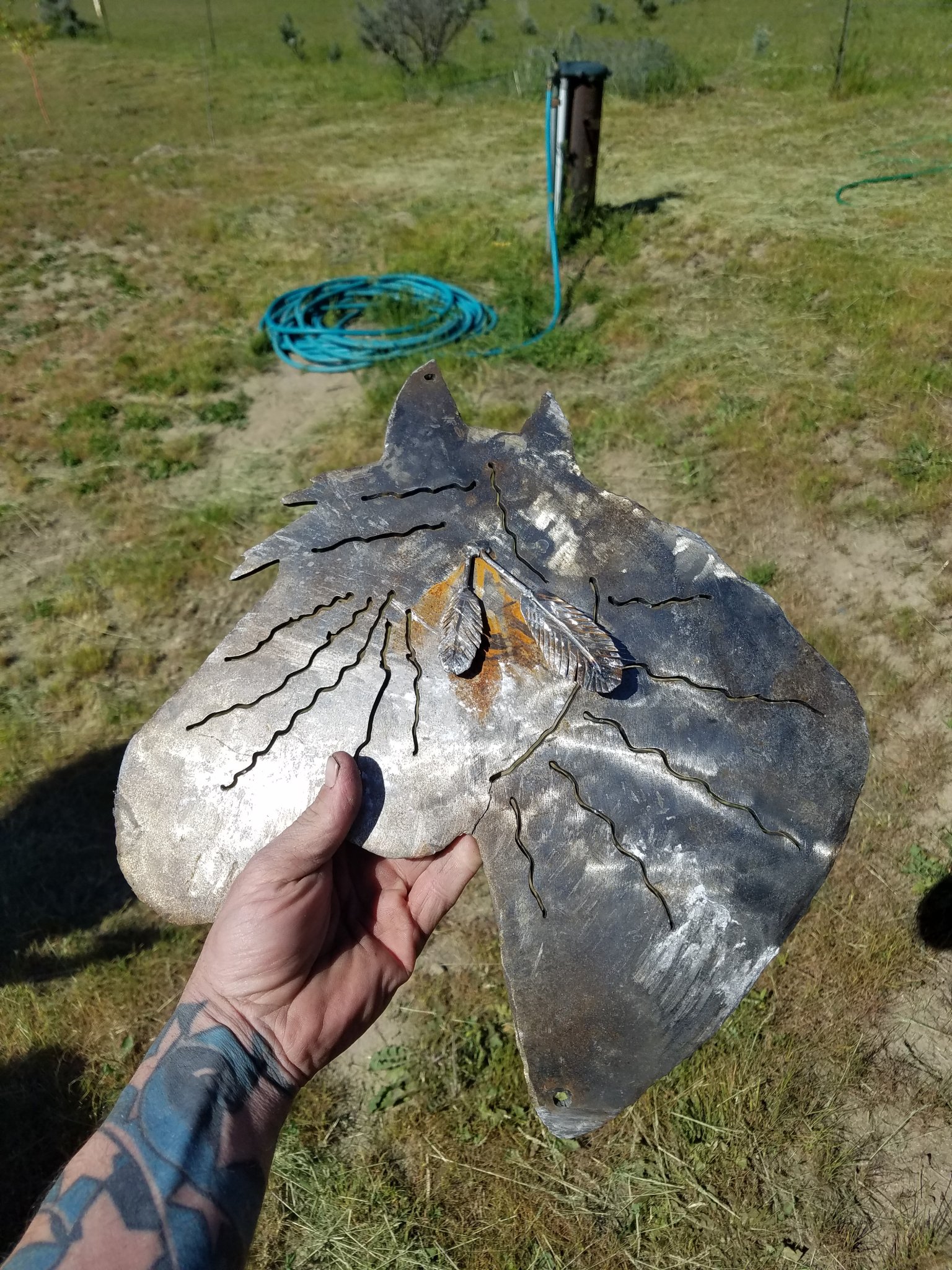 20190509_172545.jpg