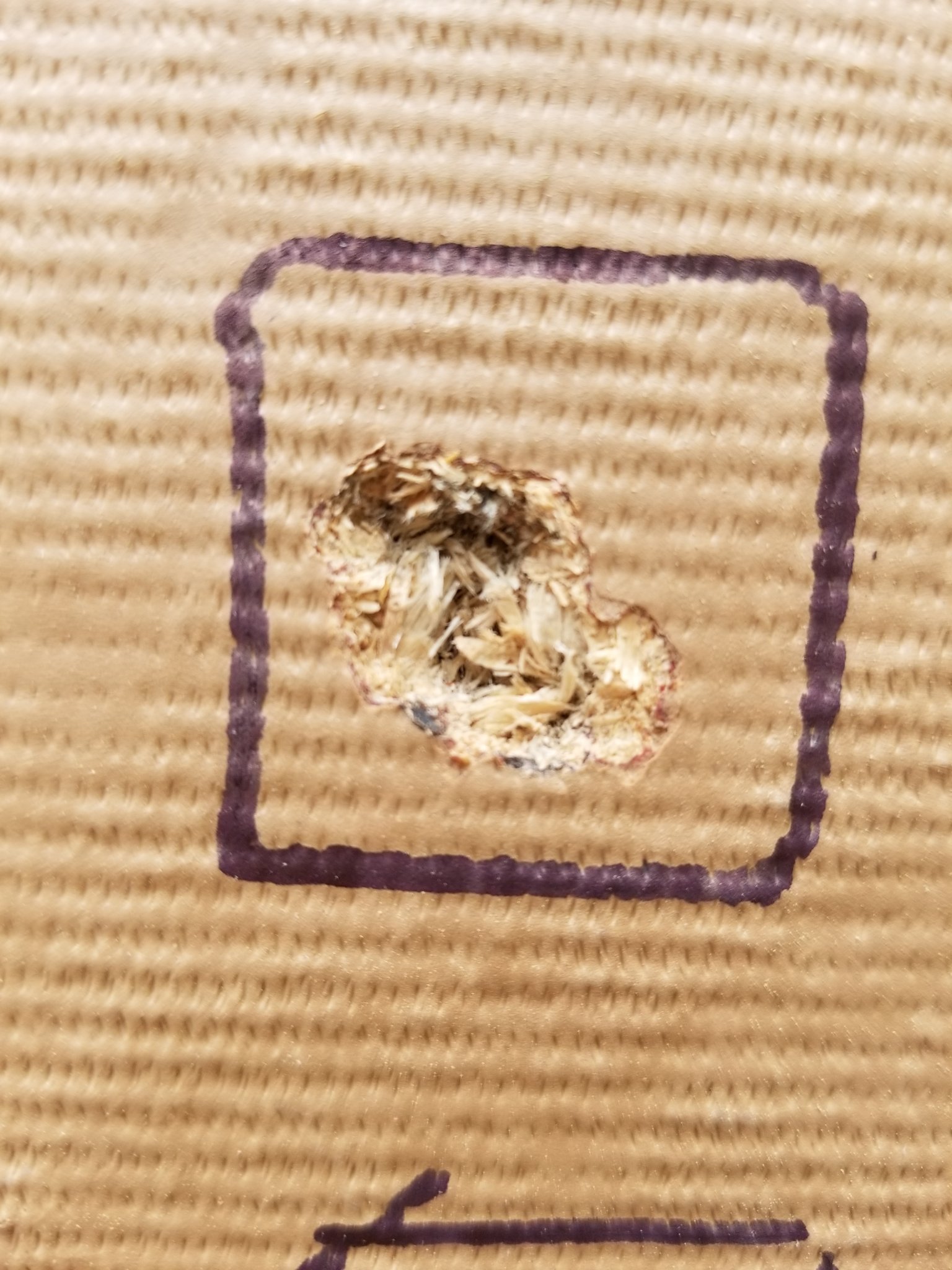 20190511_112715.jpg