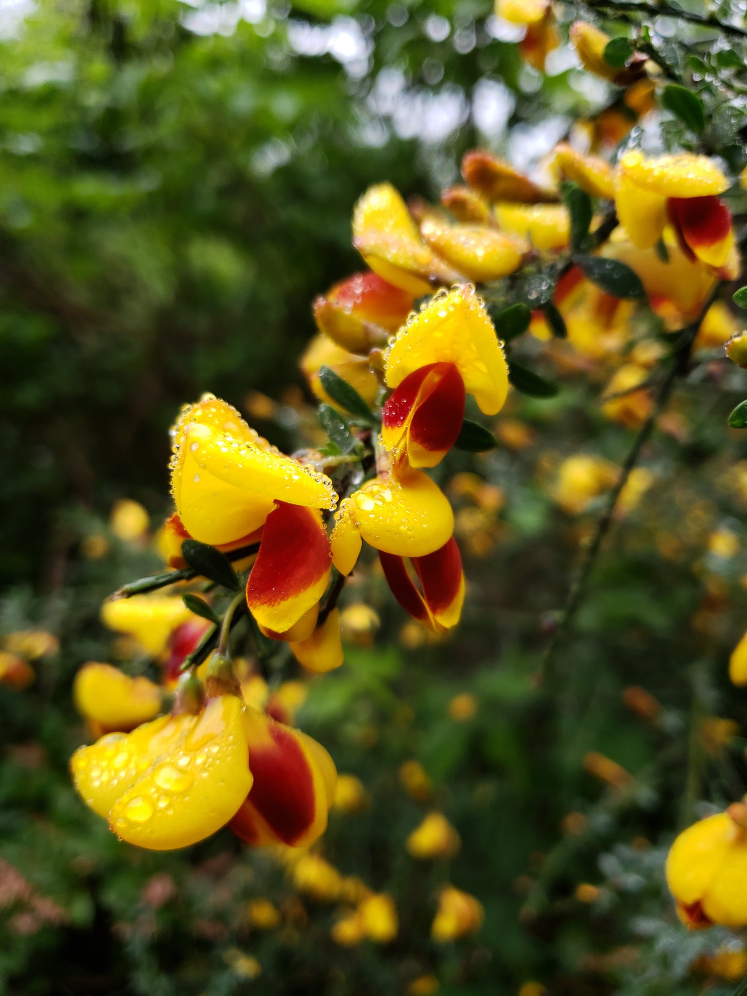 20190520_073717.jpg