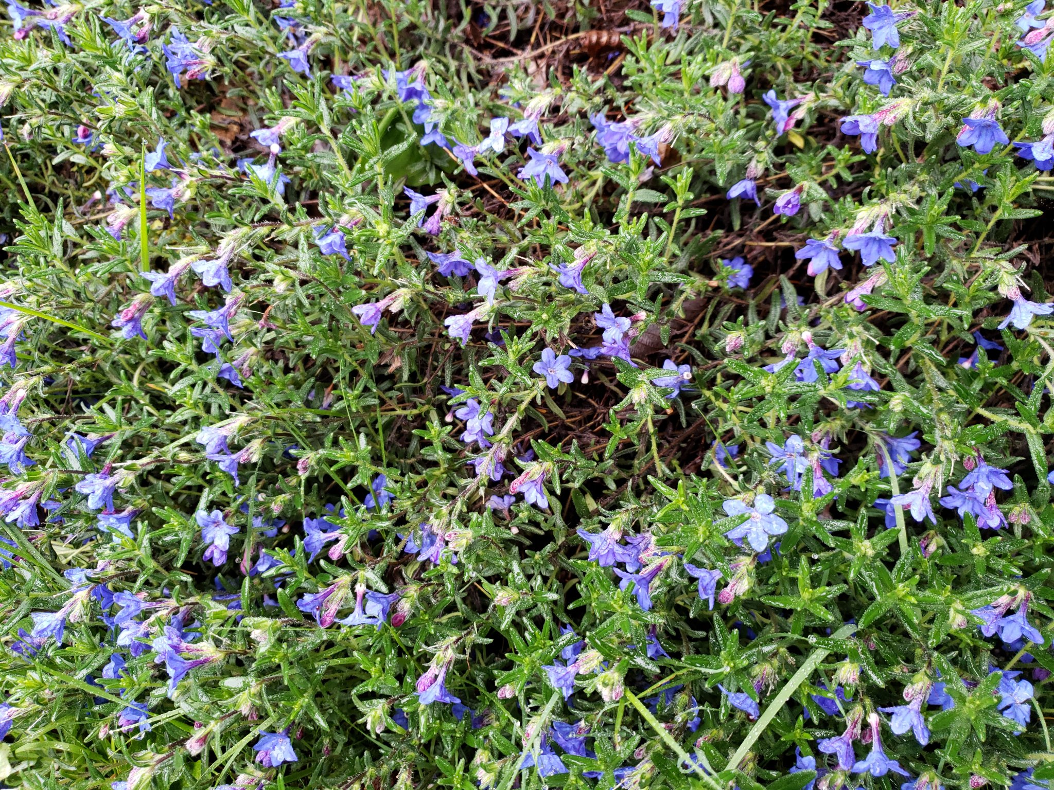20190520_074243.jpg