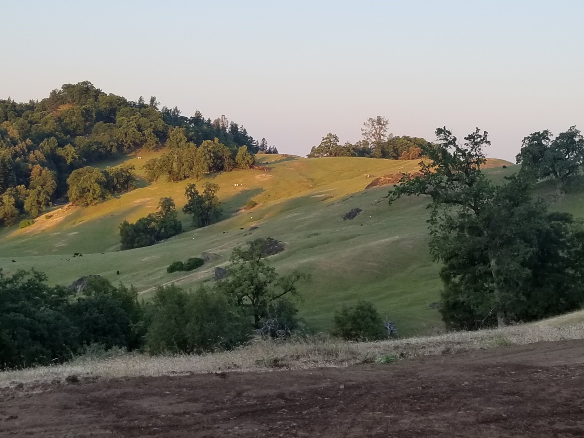 20190531_060905.jpg