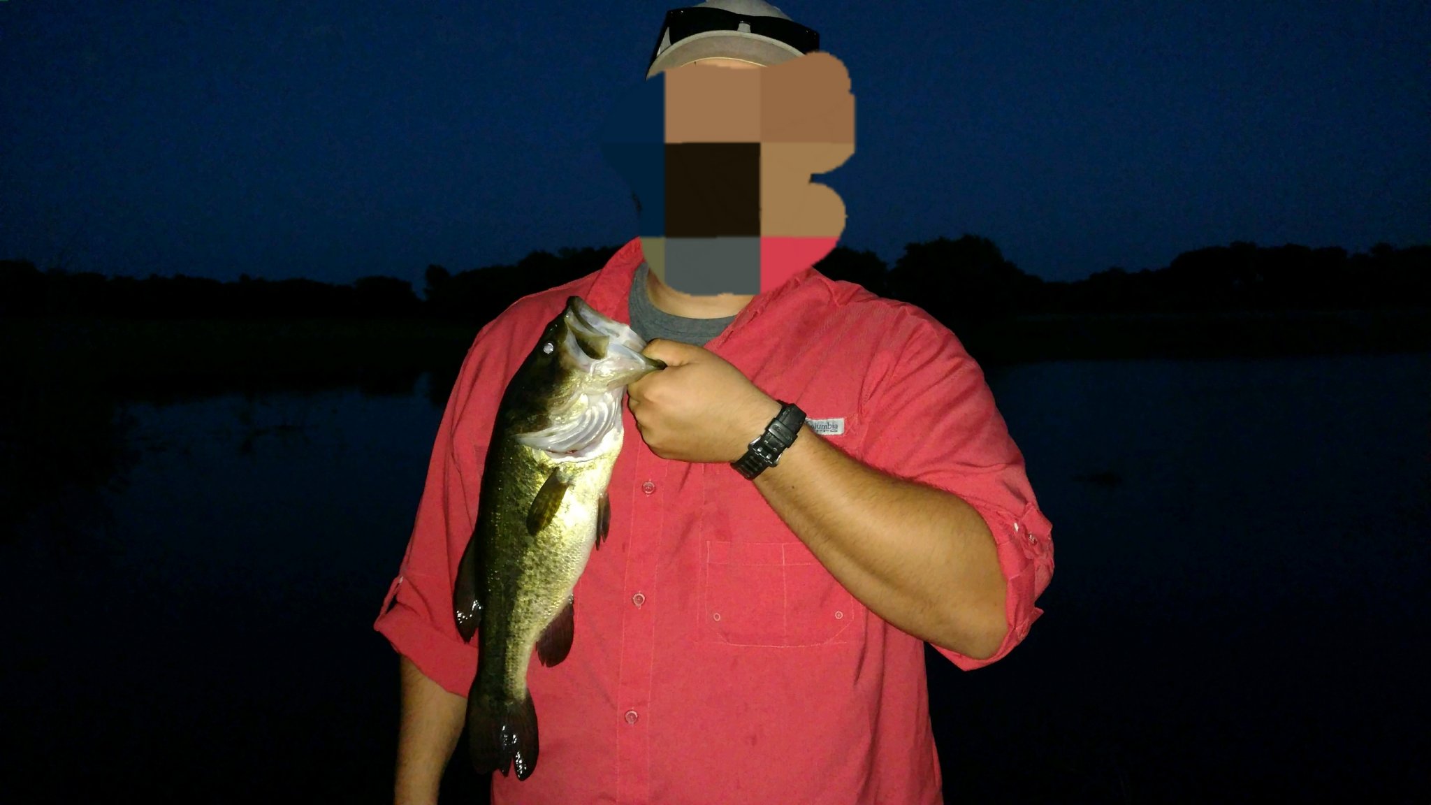 20190601_203502.jpg