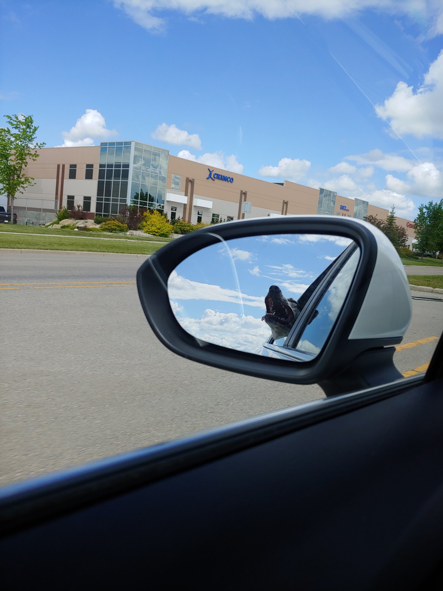 20190615_114233.jpg