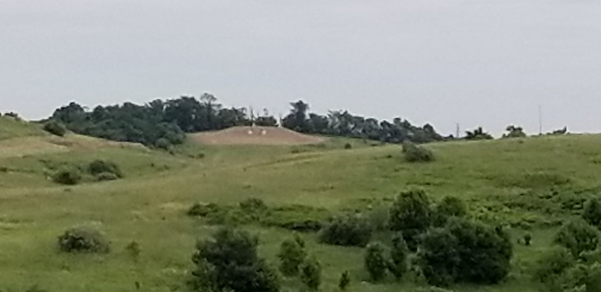 7113570