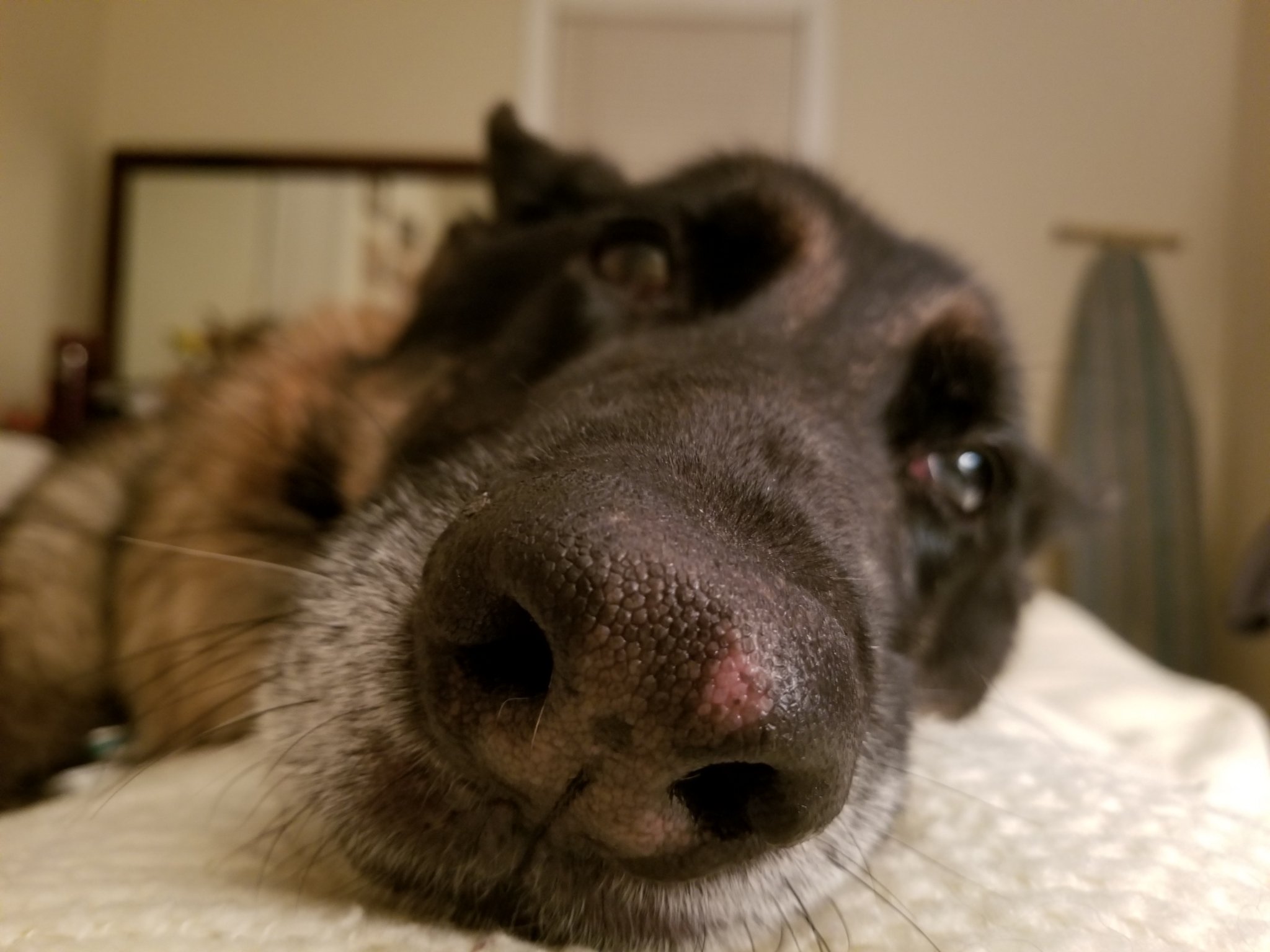 20190622_213946.jpg