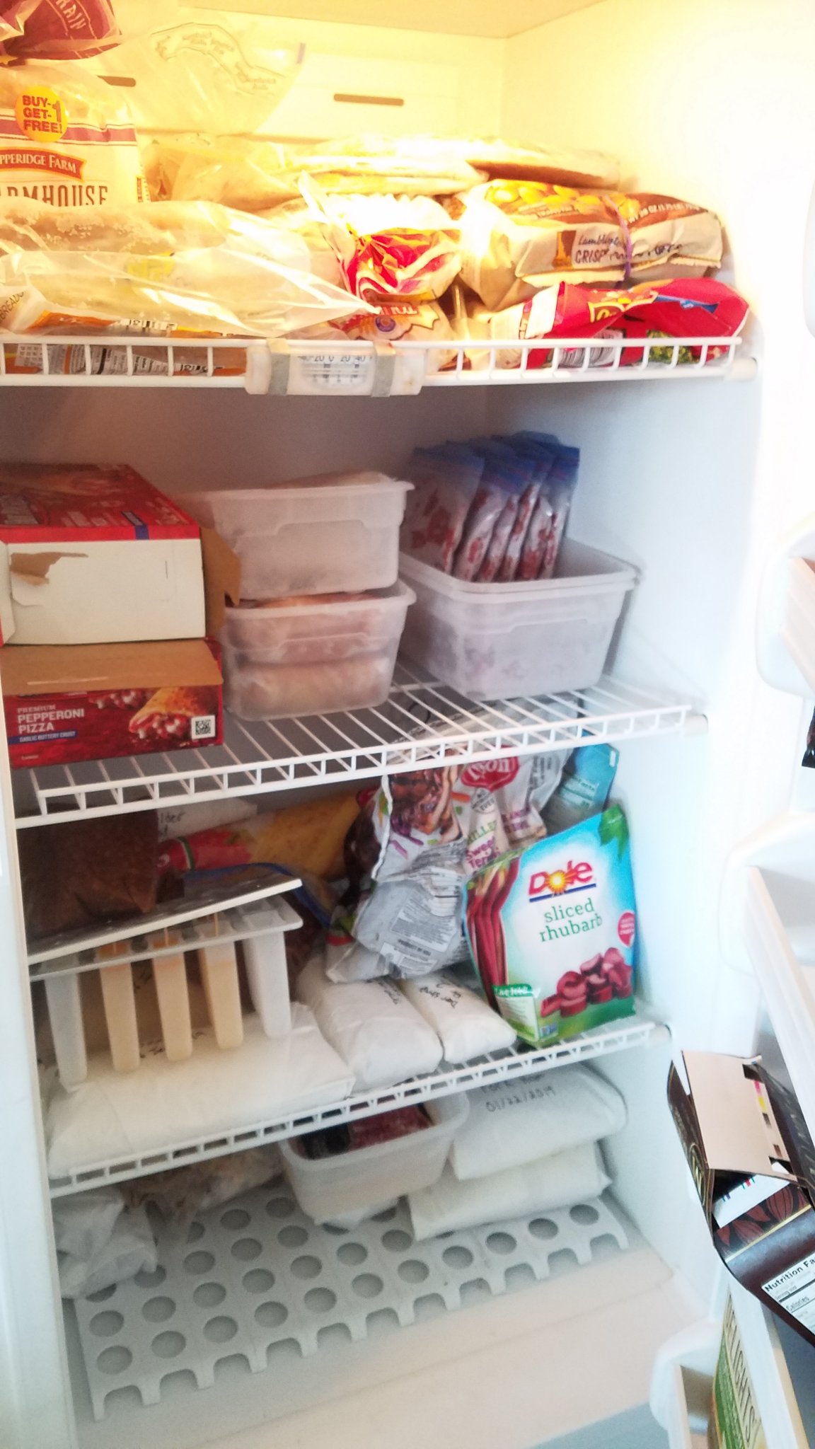 20190626_104634.jpg