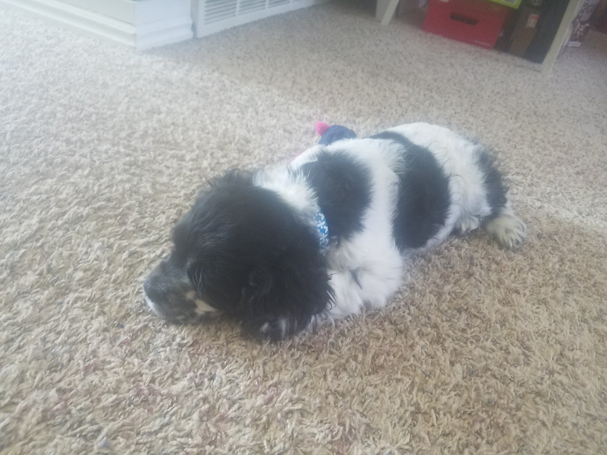 20190627_134736.jpg