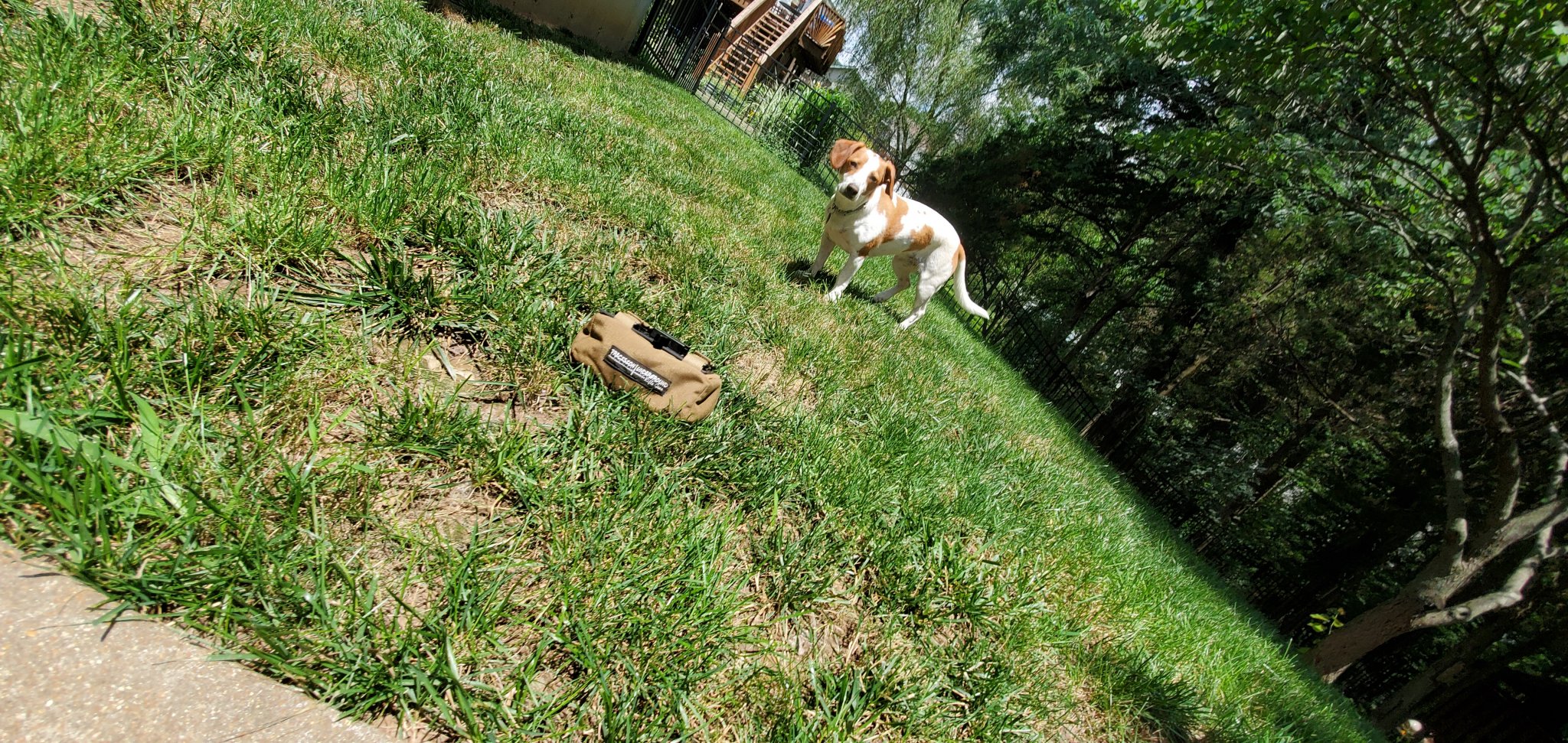 20190702_124504.jpg
