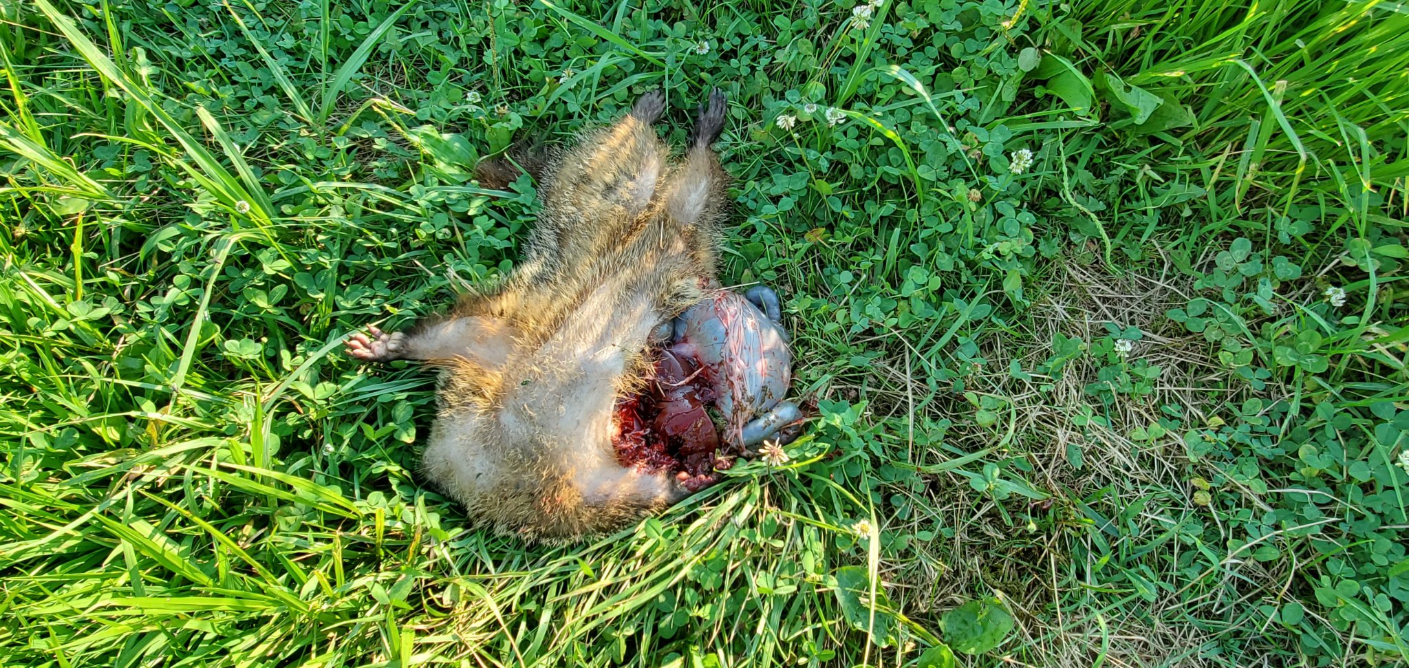 20190705_180614.jpg