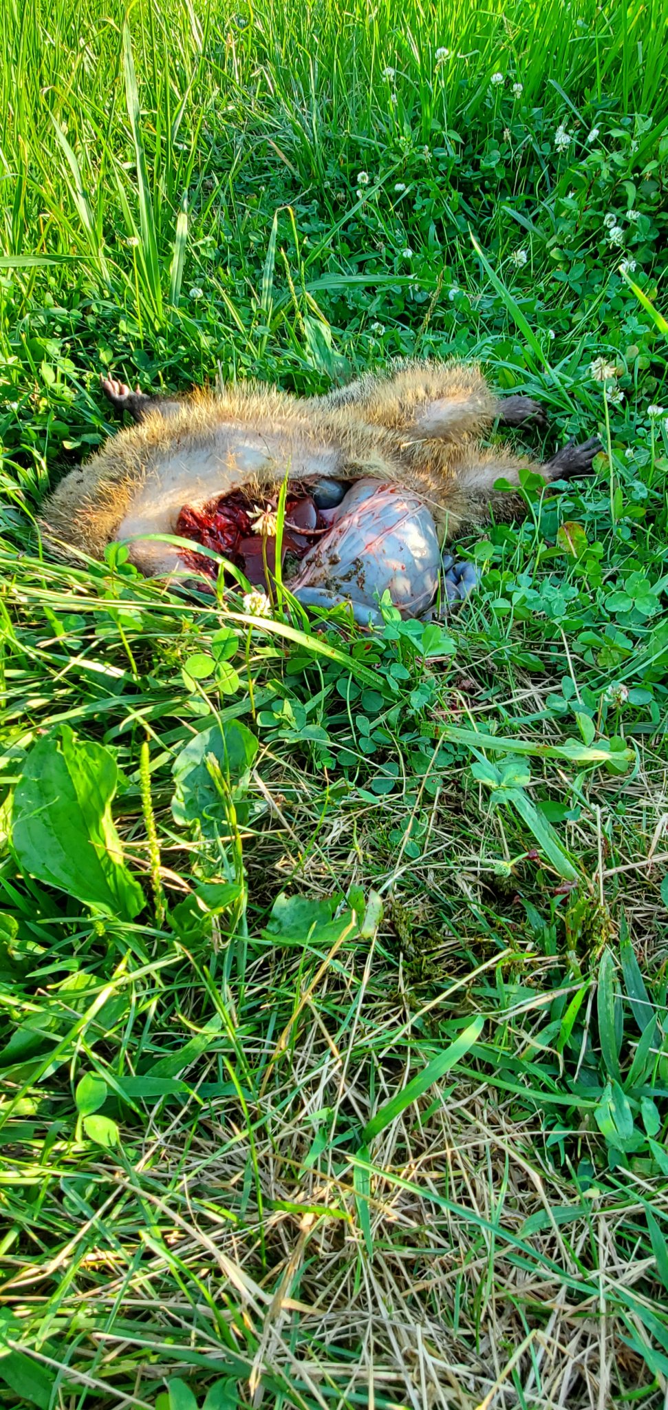 20190705_180637.jpg