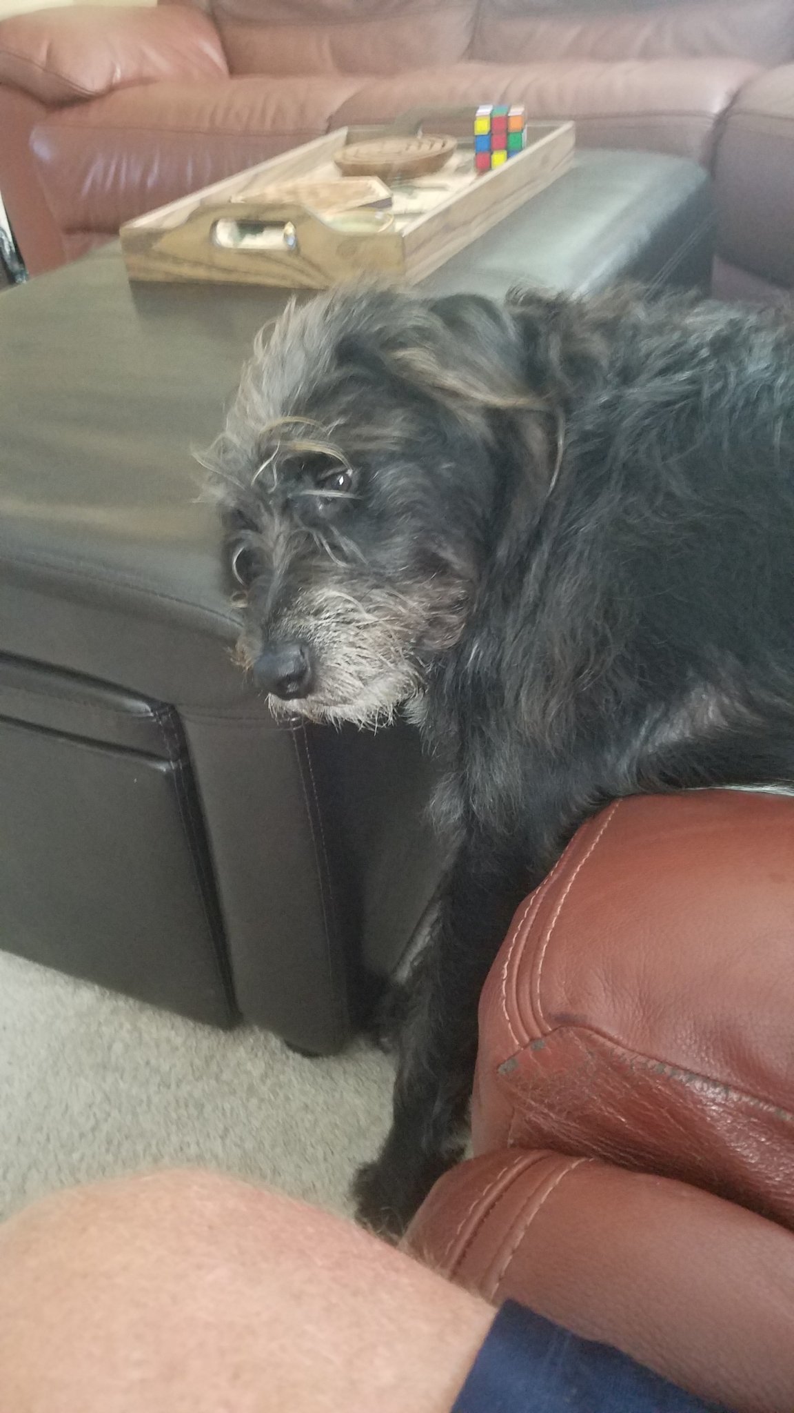 20190708_102728.jpg