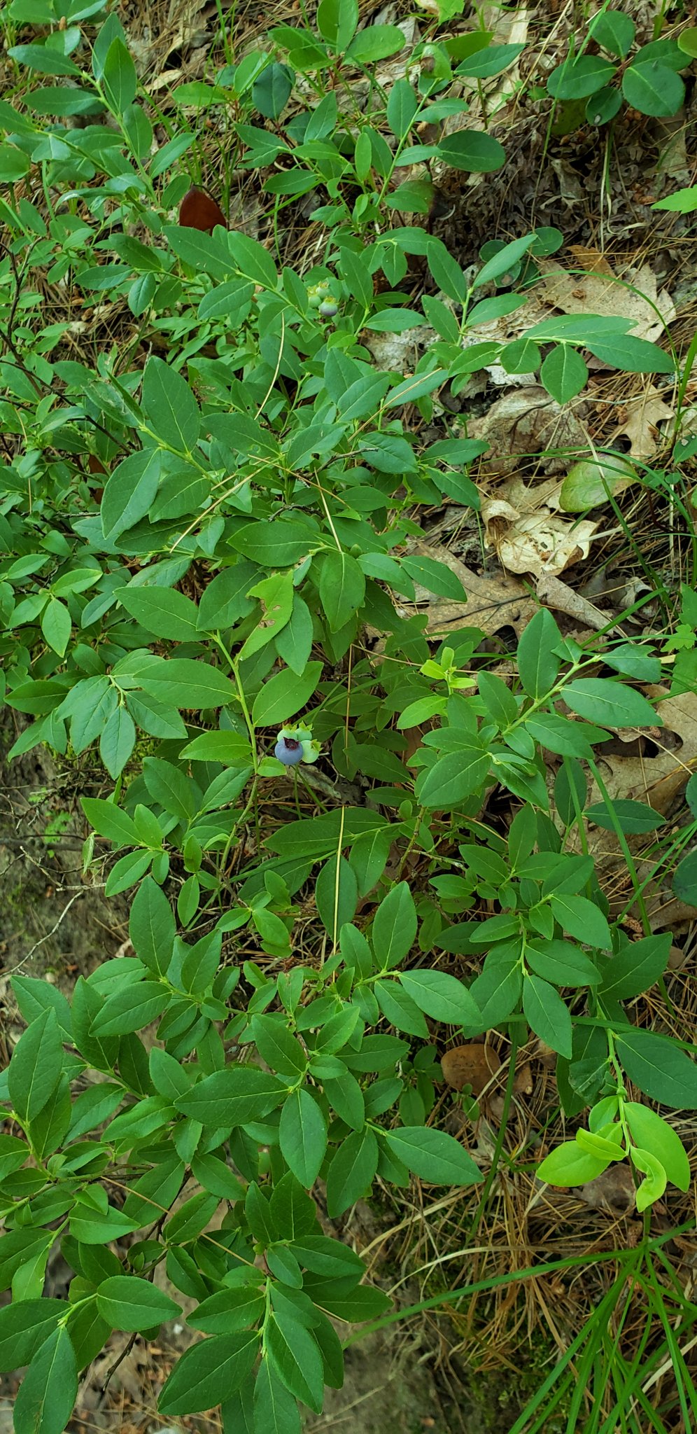 20190710_113334.jpg