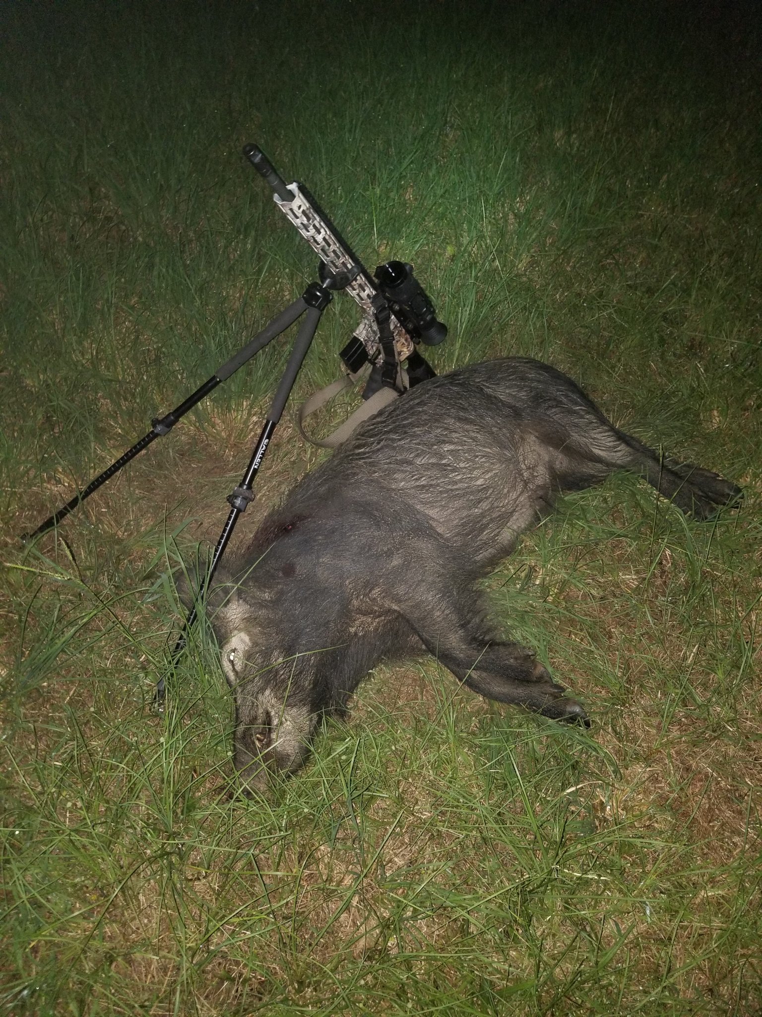 20190715_Boar Sandy Field 1.jpg
