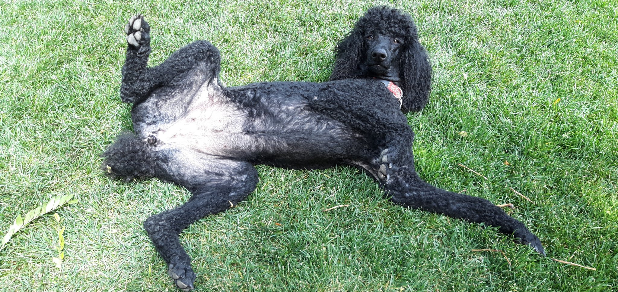 20190716_151802.jpg