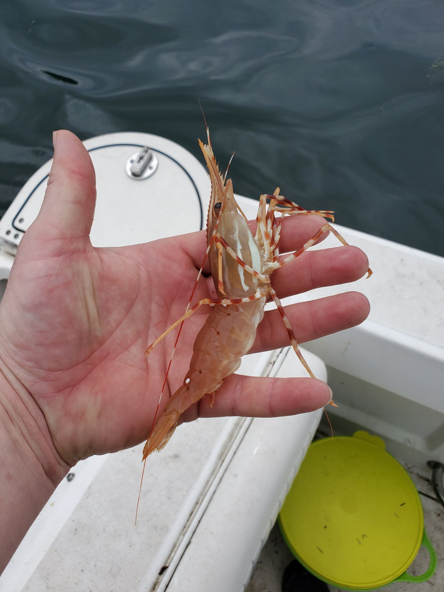 20190717_130146.jpg