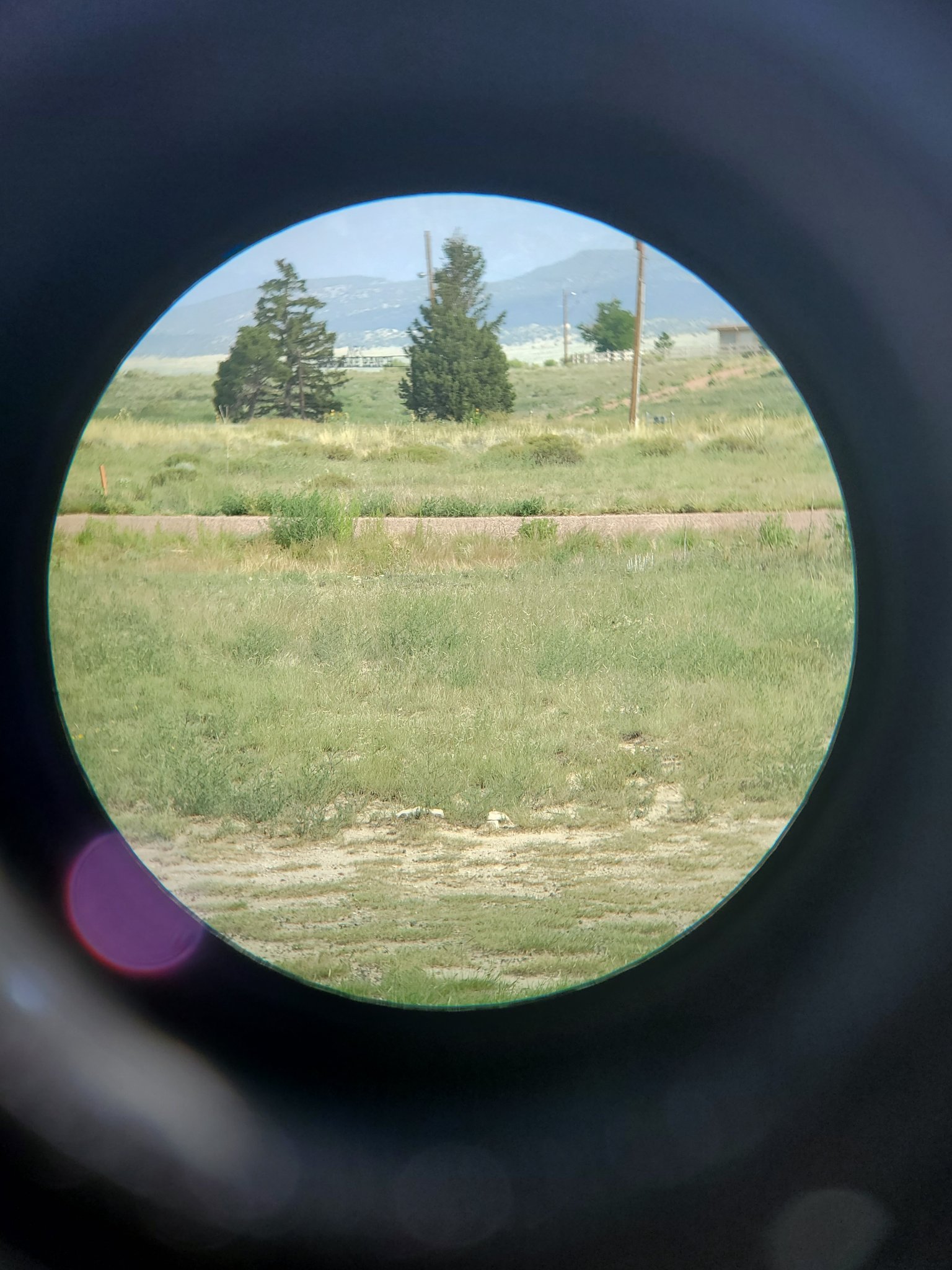 20190801_093017.jpg