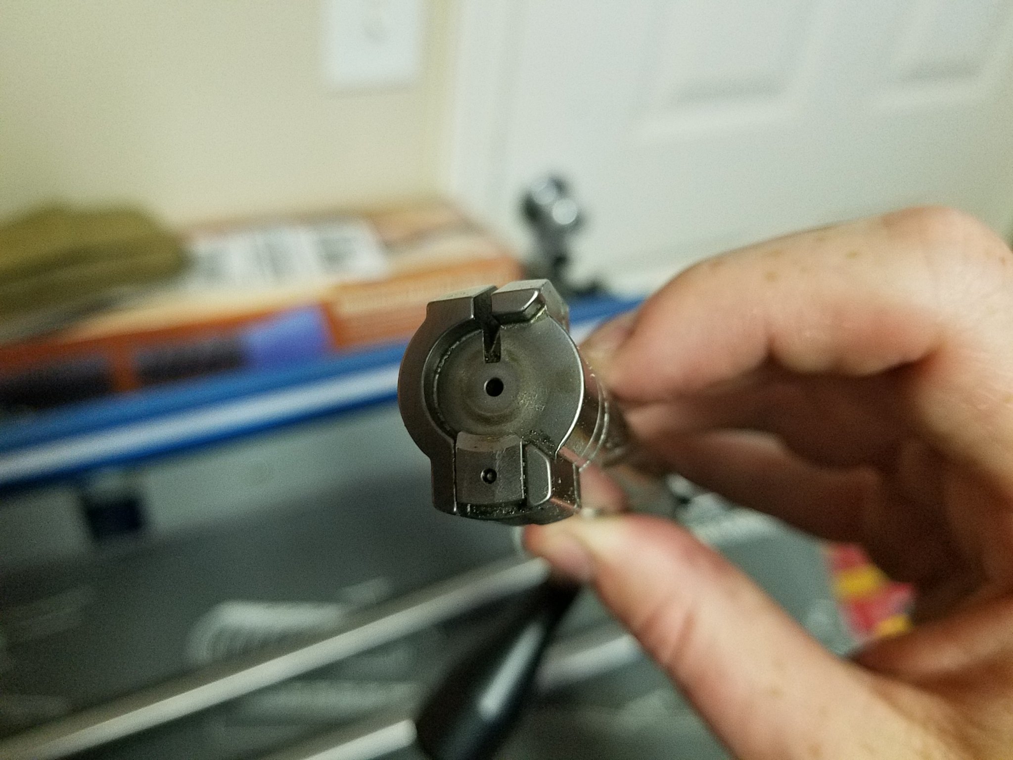 20190804_152843.jpg