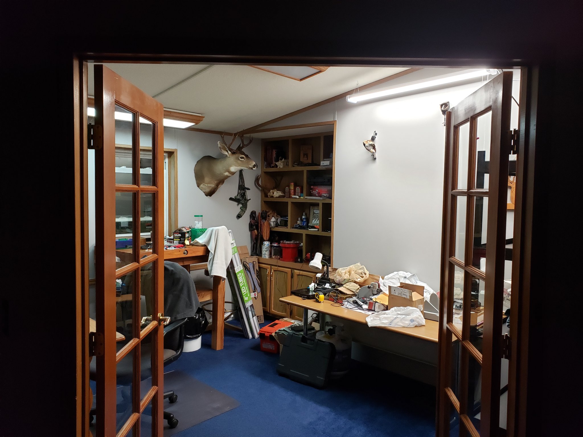 20190816_020856.jpg