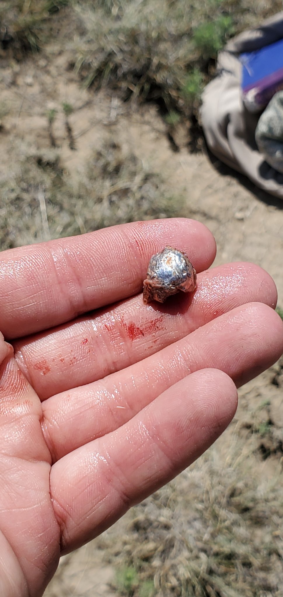 20190819_113856.jpg