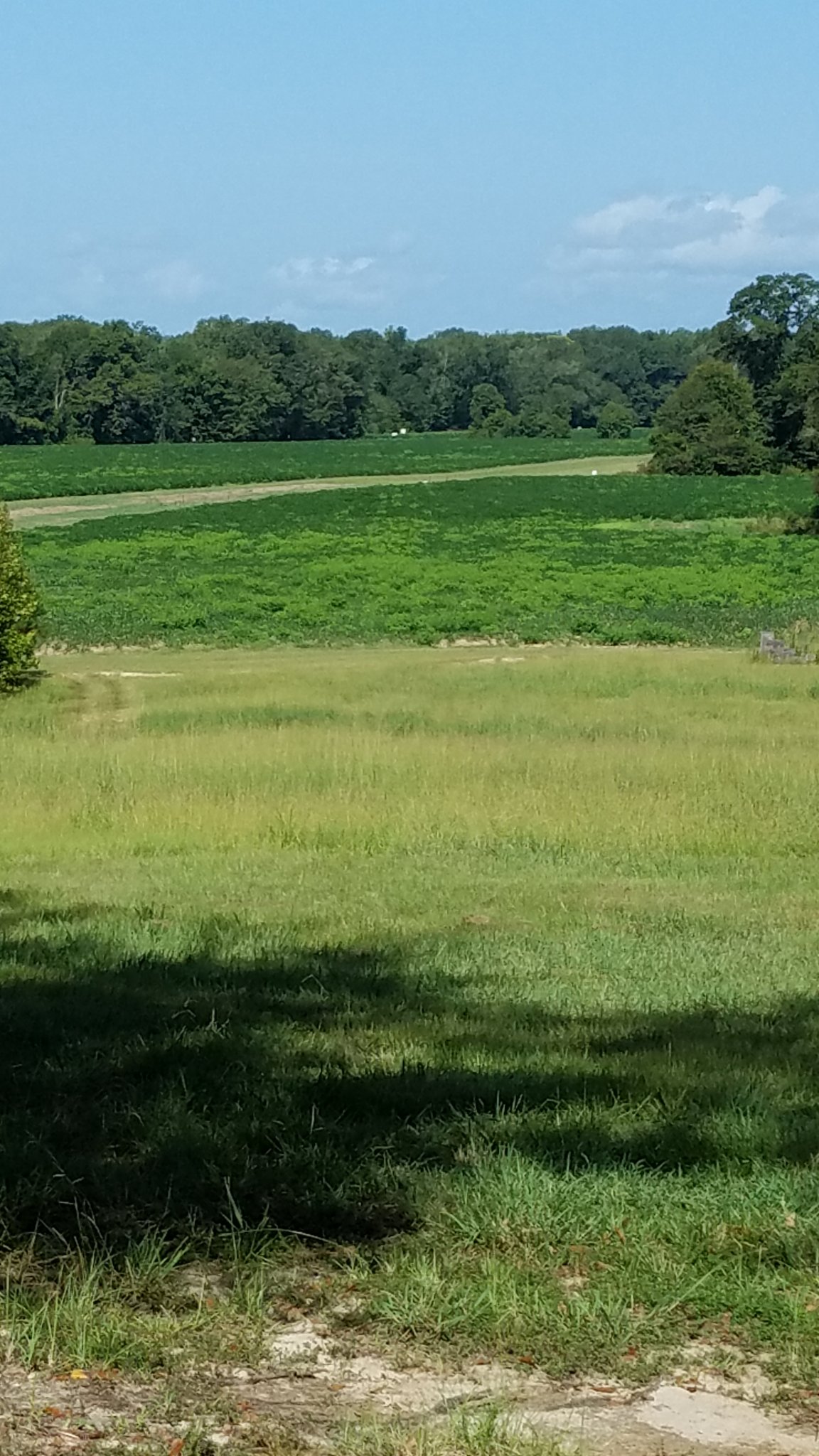20190821_101141.jpg