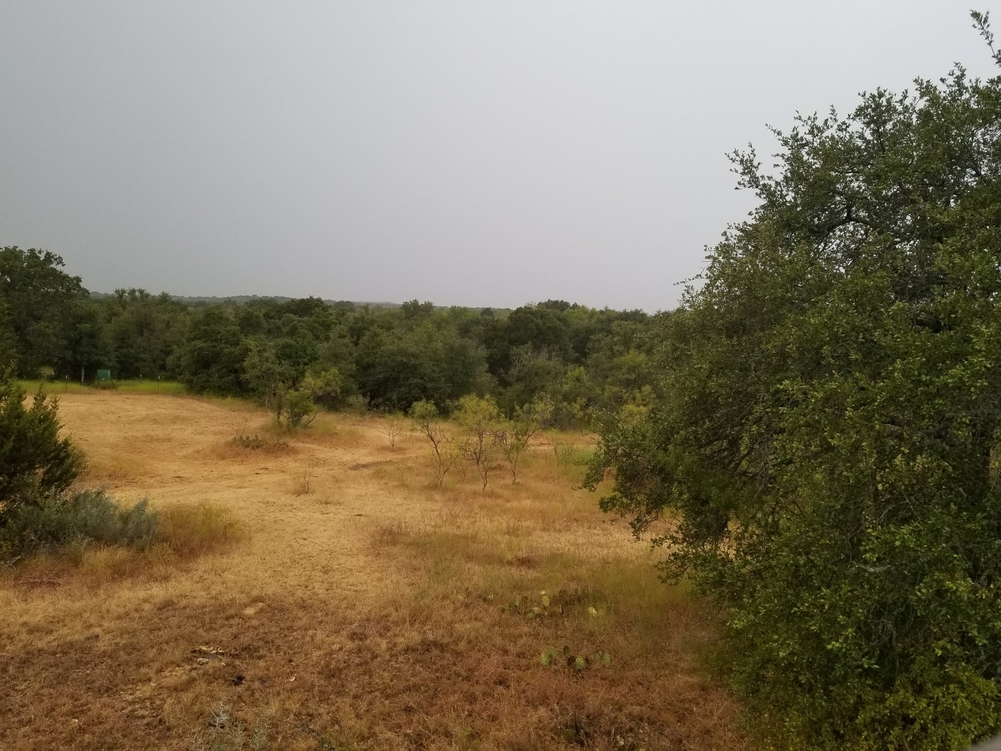 20190823_194442.jpg
