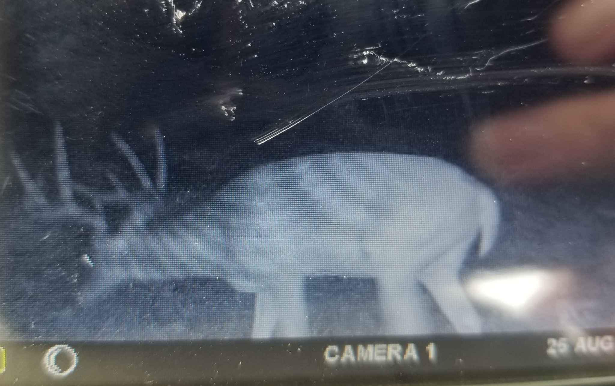 20190827_134639.jpg