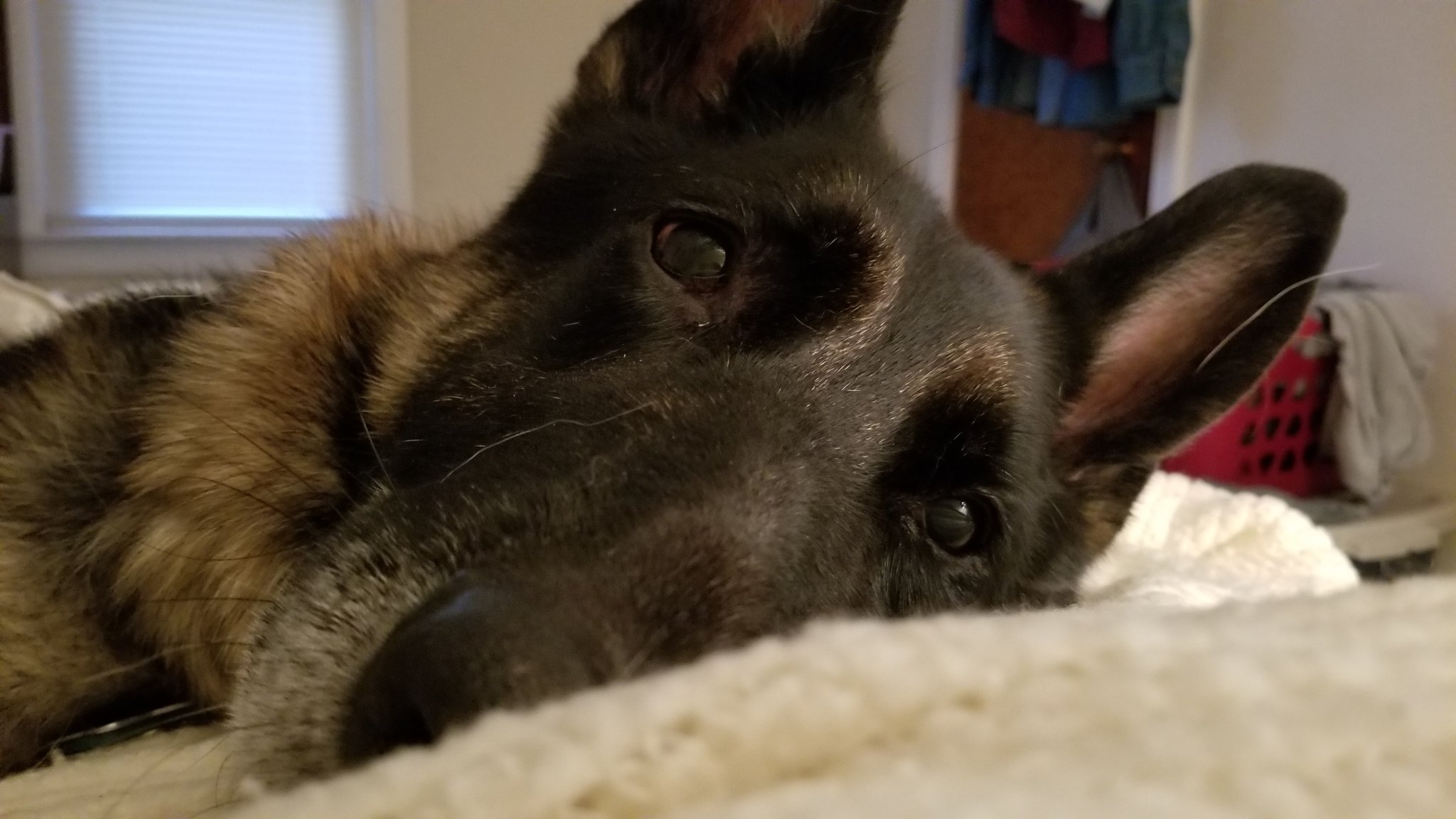 20190831_195257.jpg