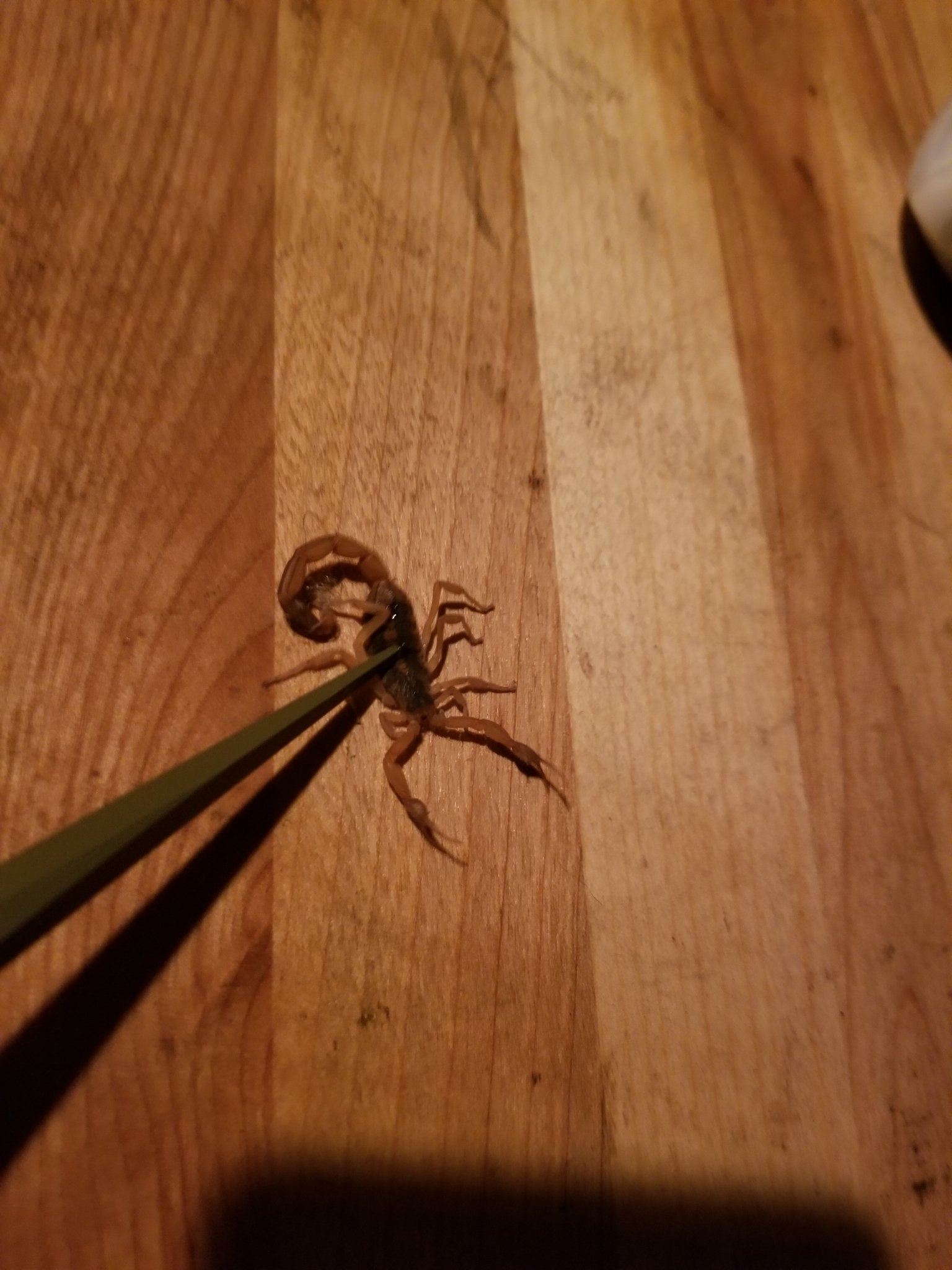 20190902_202424.jpg