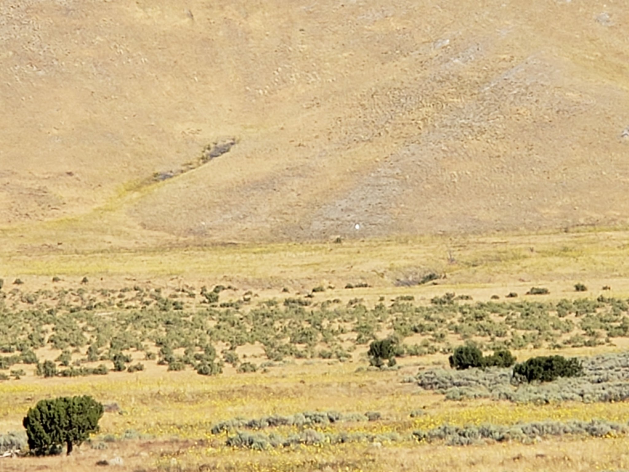 20190907_093424.jpg