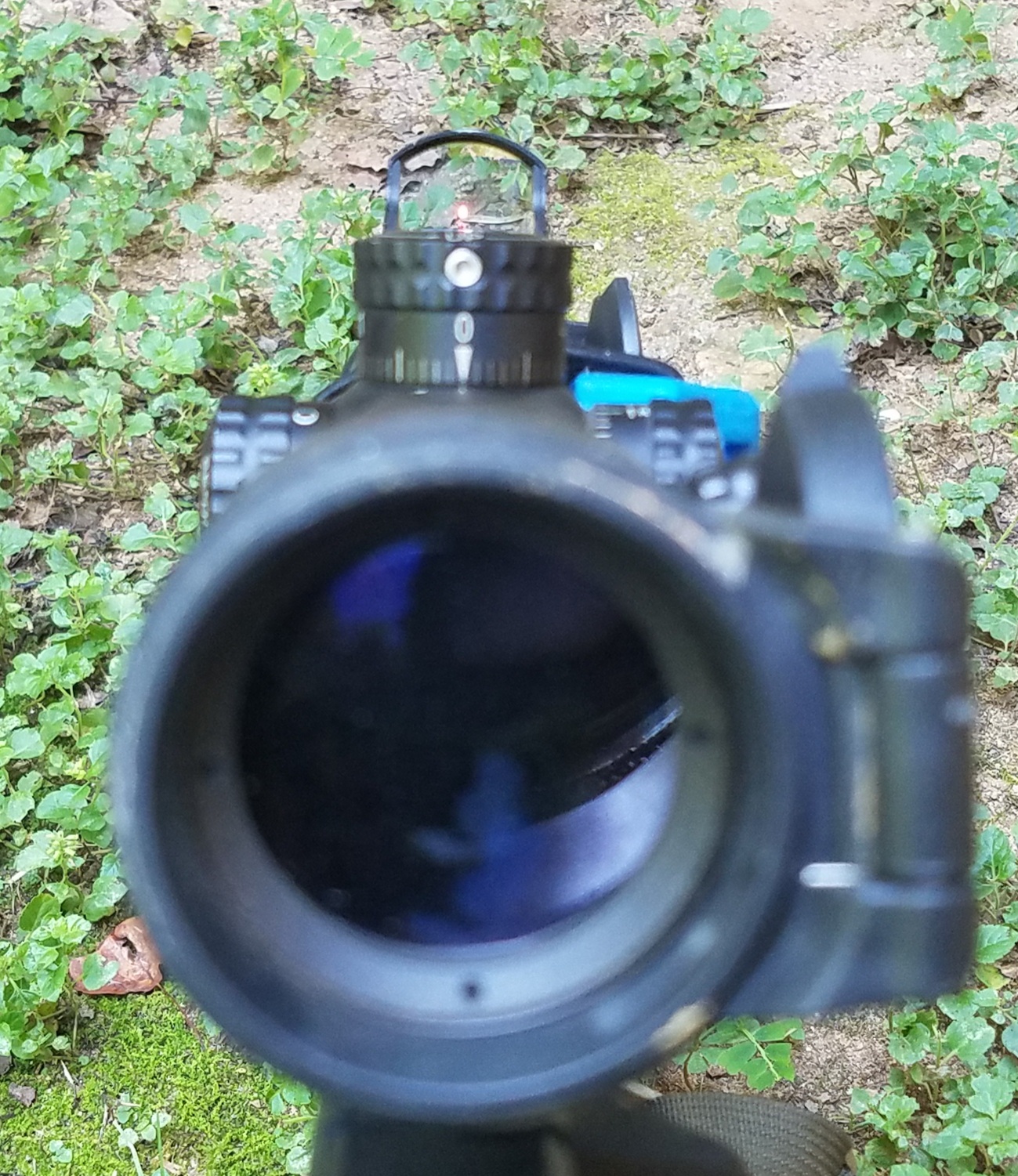 20190907_111325.jpg