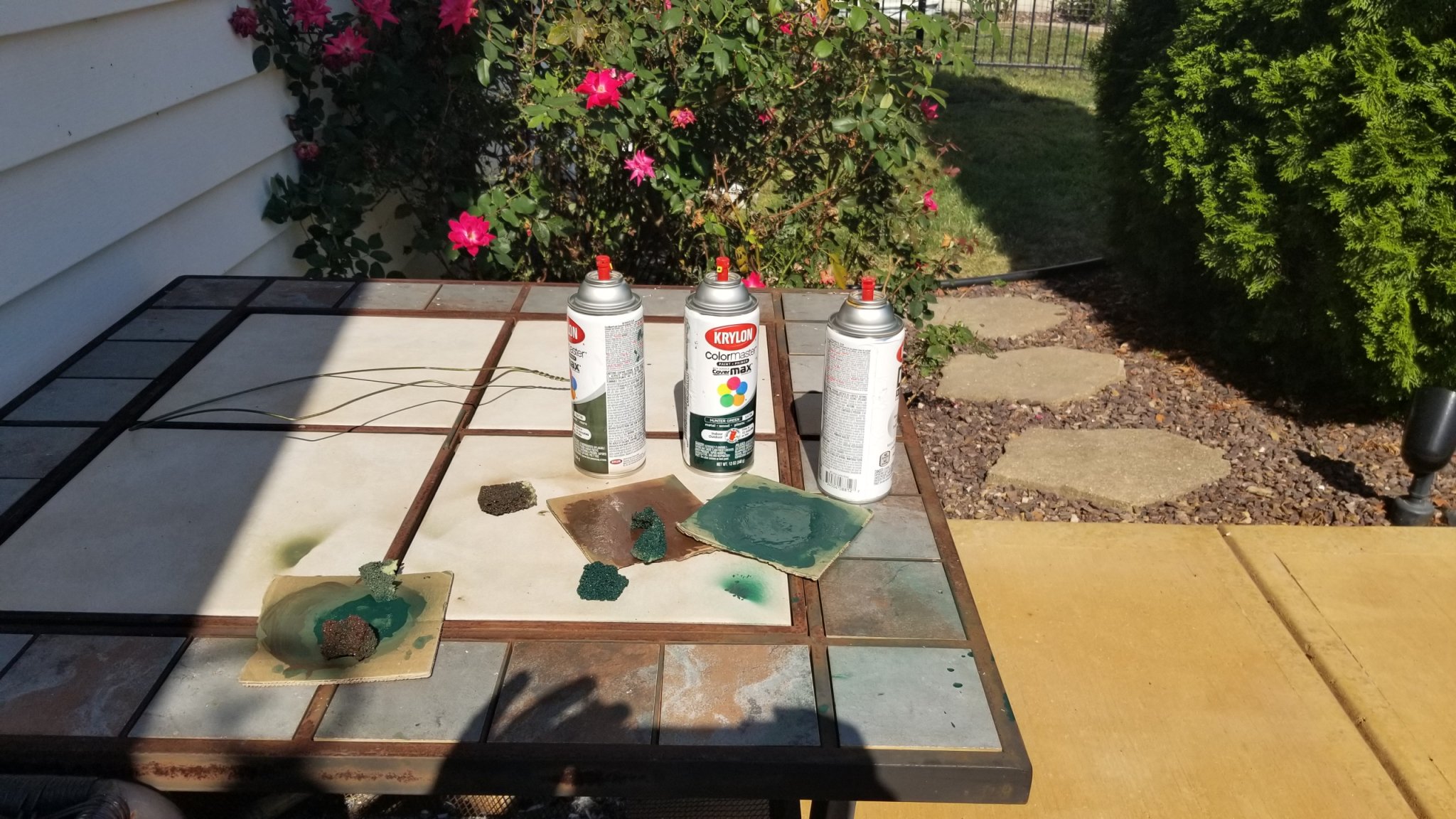 20190909_160313.jpg