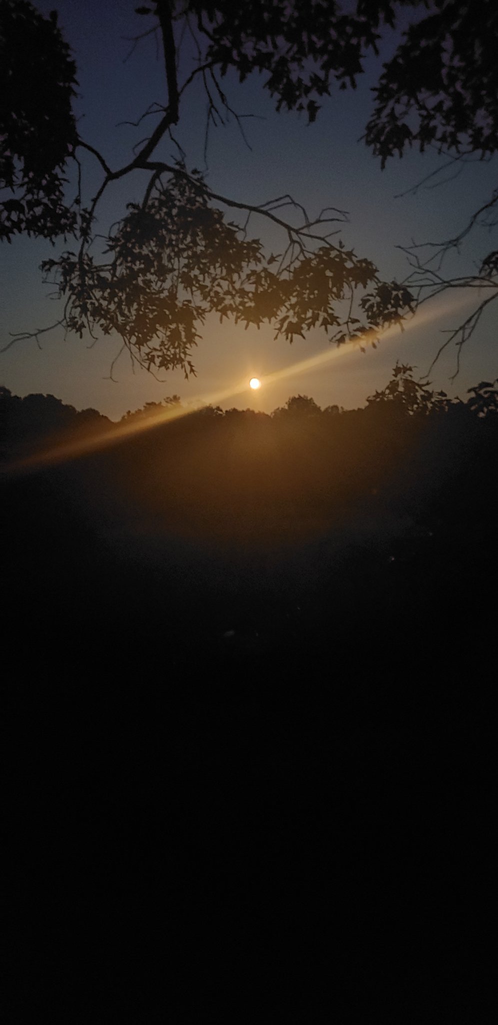 20190913_194906.jpg