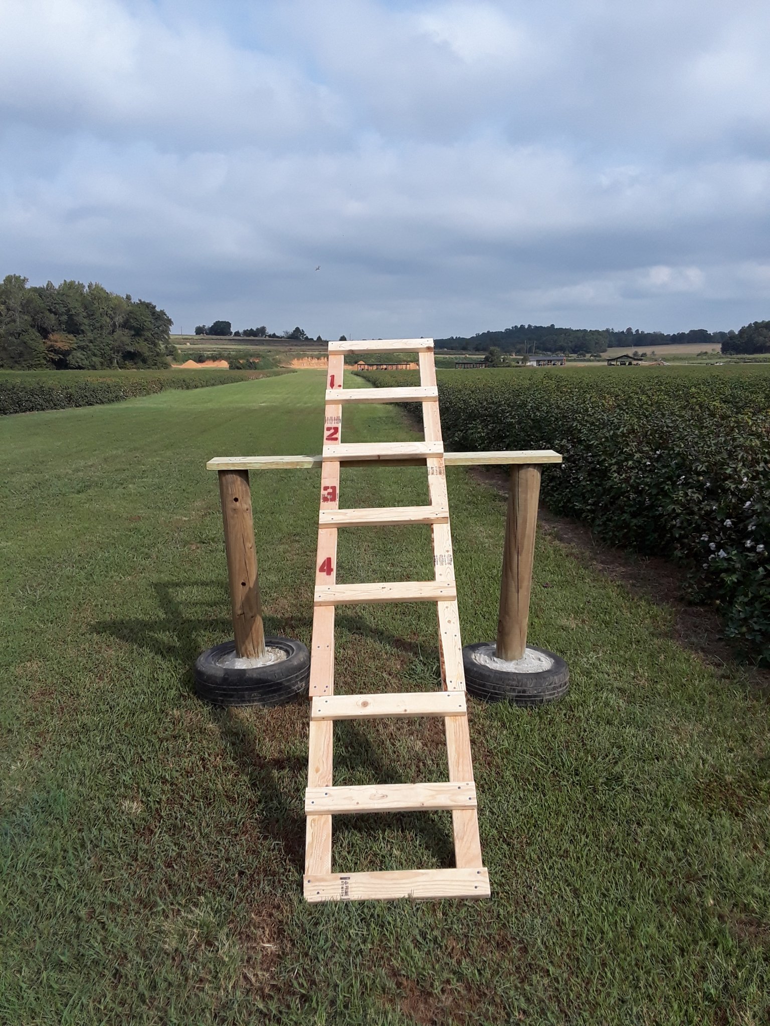 20190914_104245.jpg