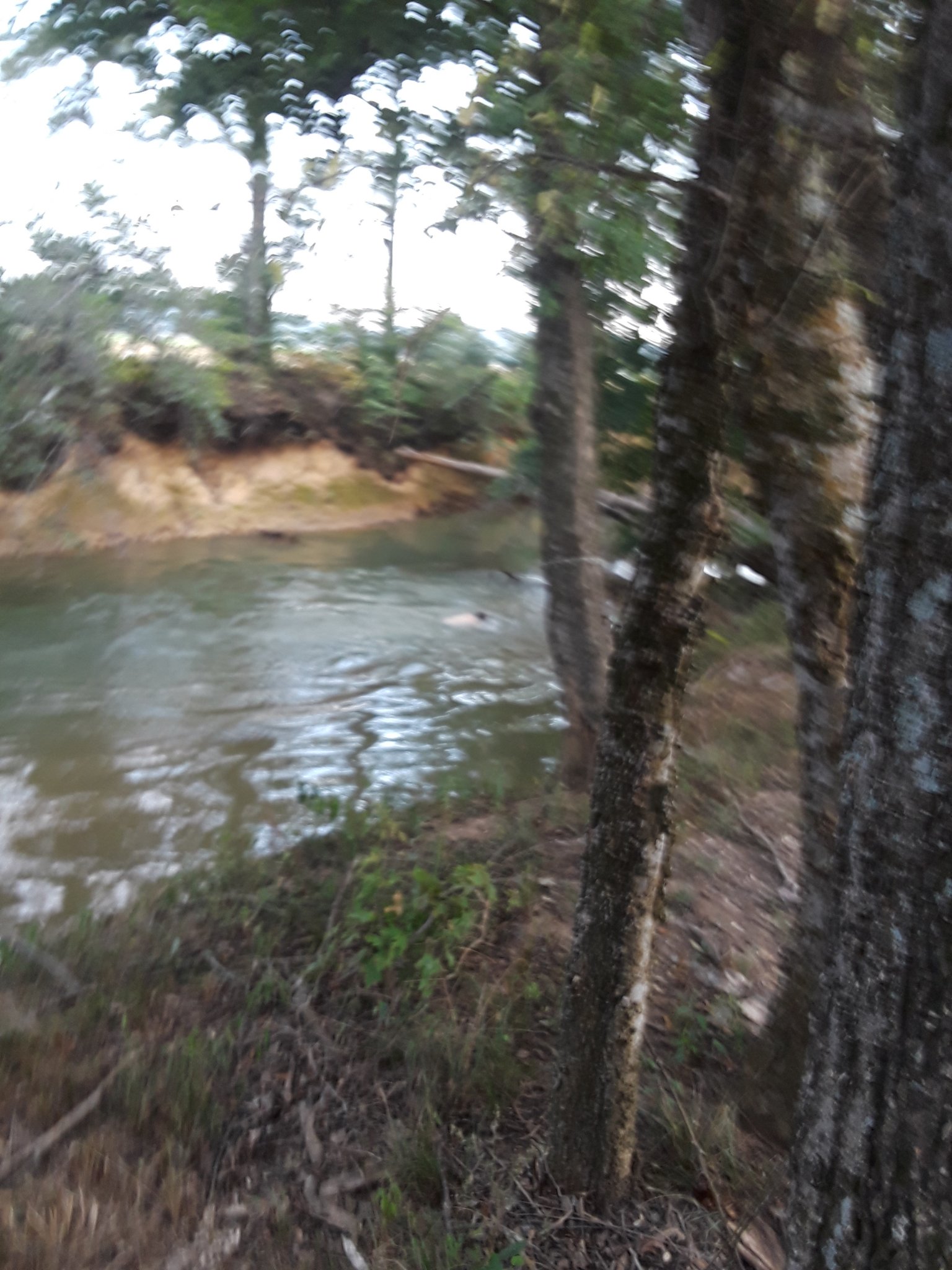 20190914_184432.jpg