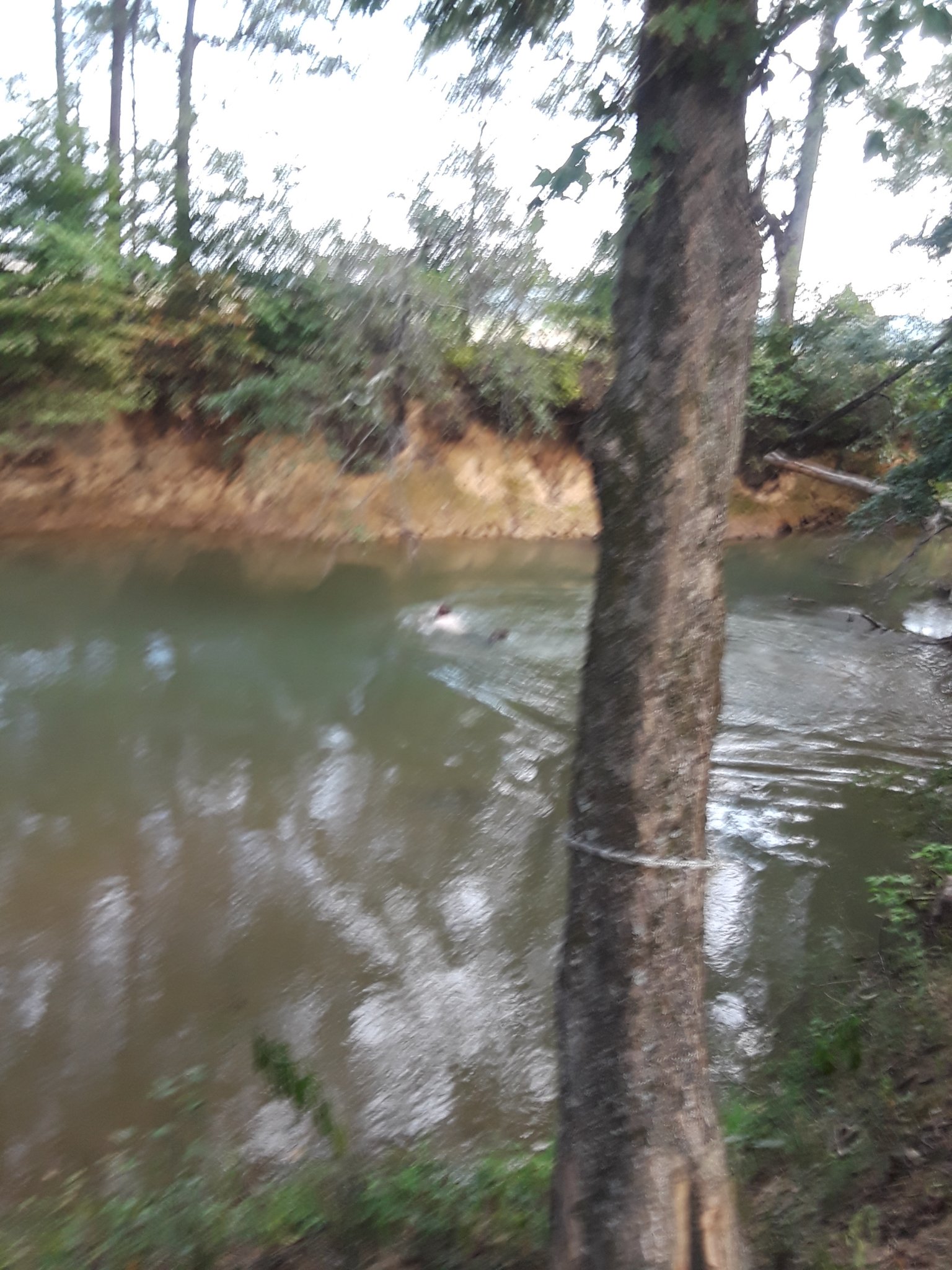 20190914_184948.jpg