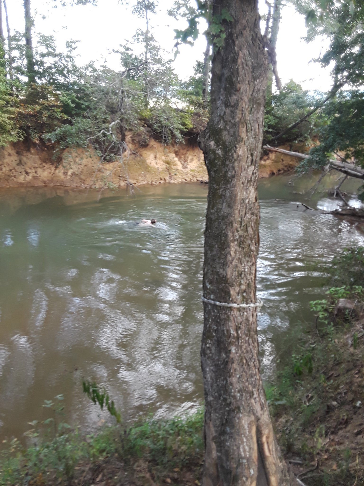 20190914_184952.jpg