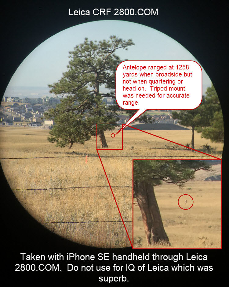 20190918_Leica_2800.COM_Antelope at 1258yds.jpg