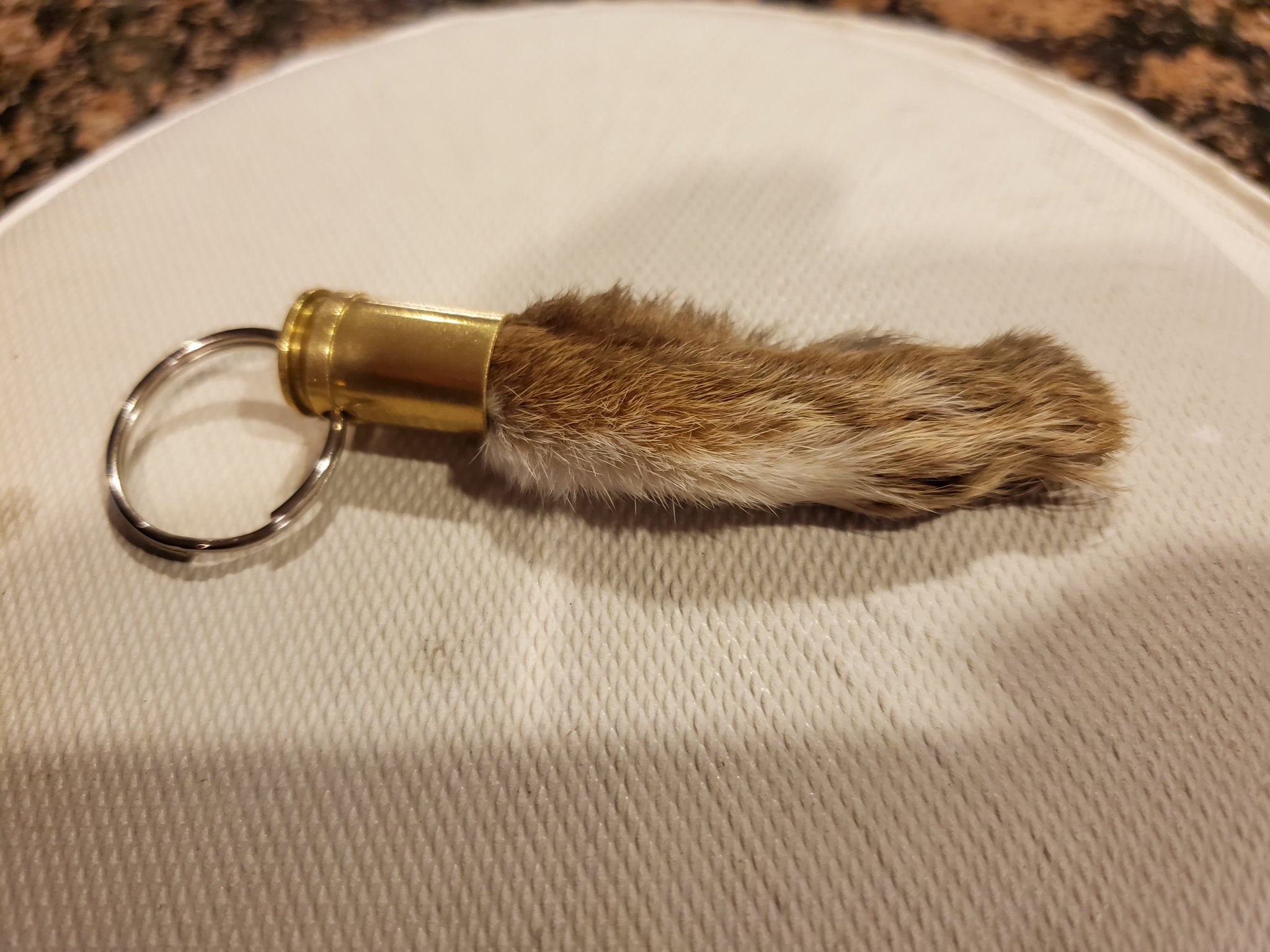 20190919_222002.jpeg