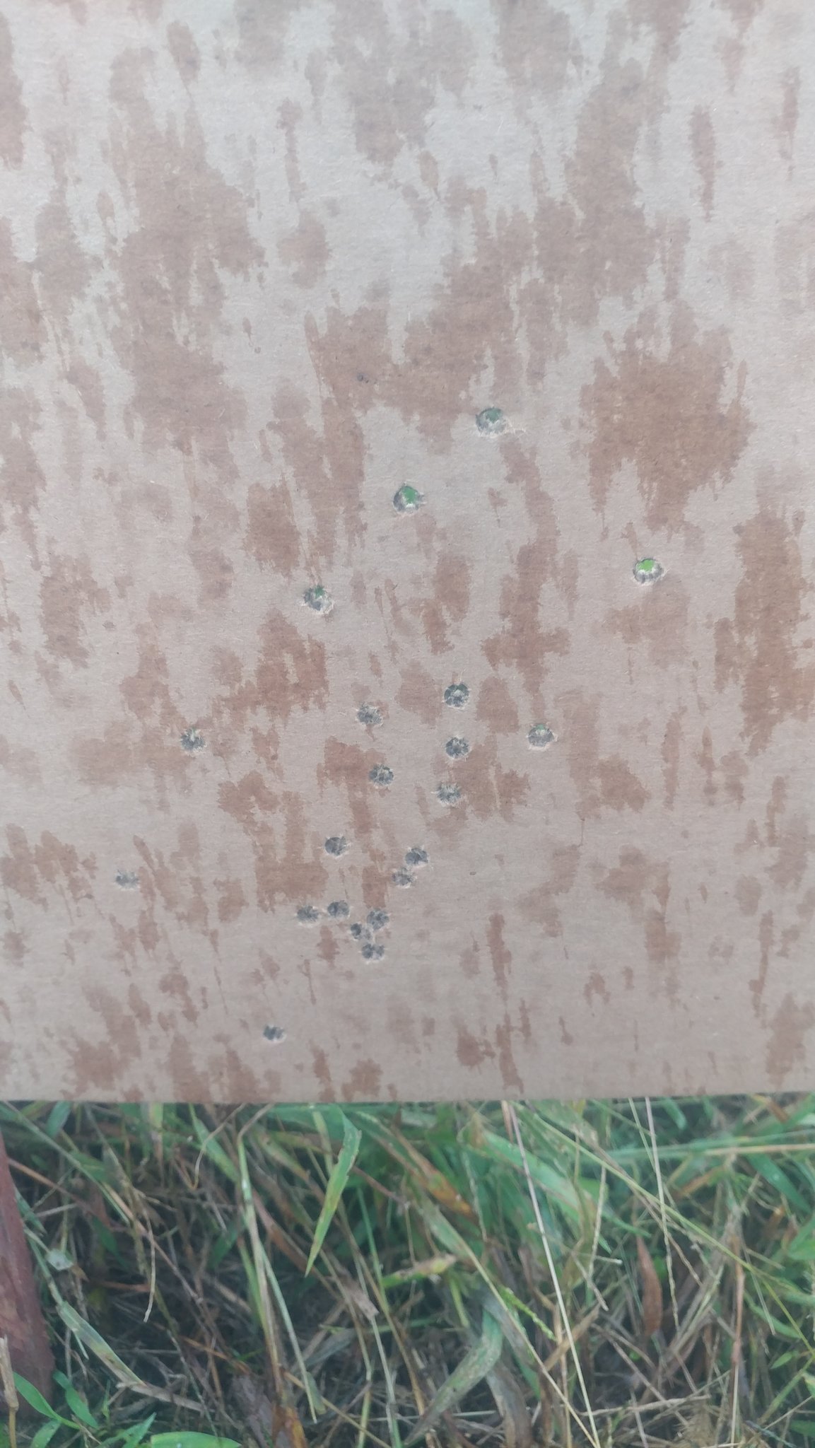 20190921_163123.jpg