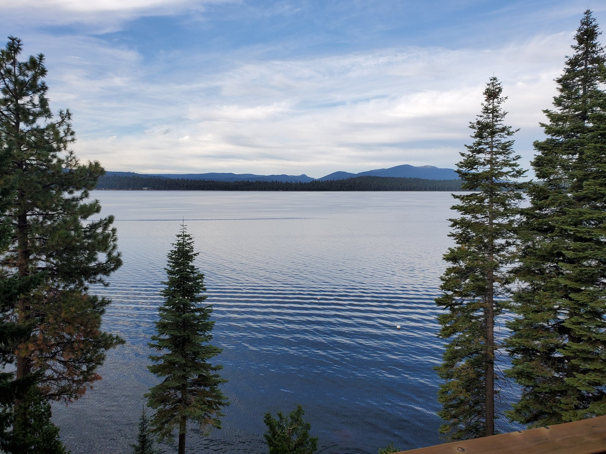 20190922_084244.jpg
