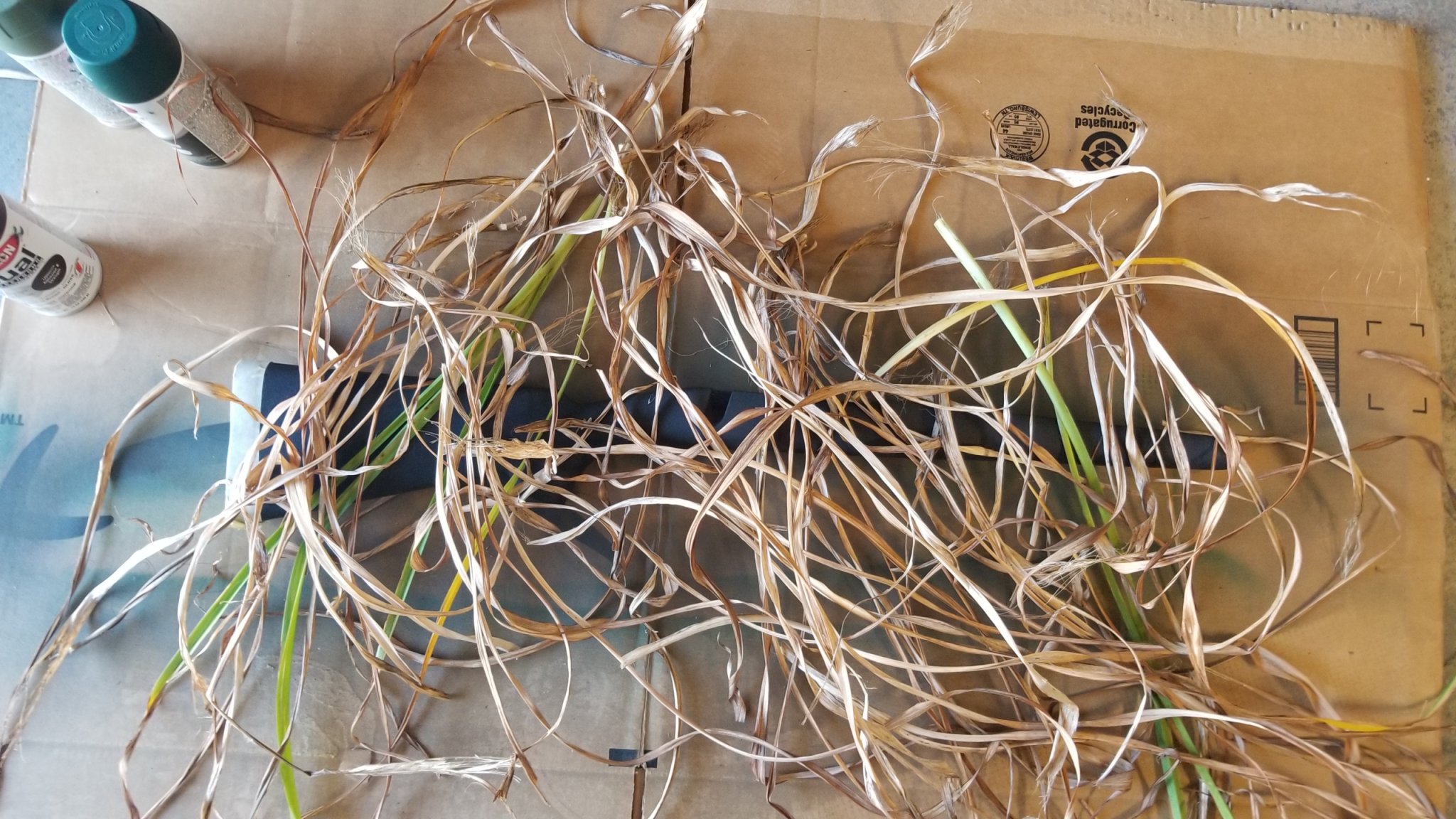 20190922_102223.jpg