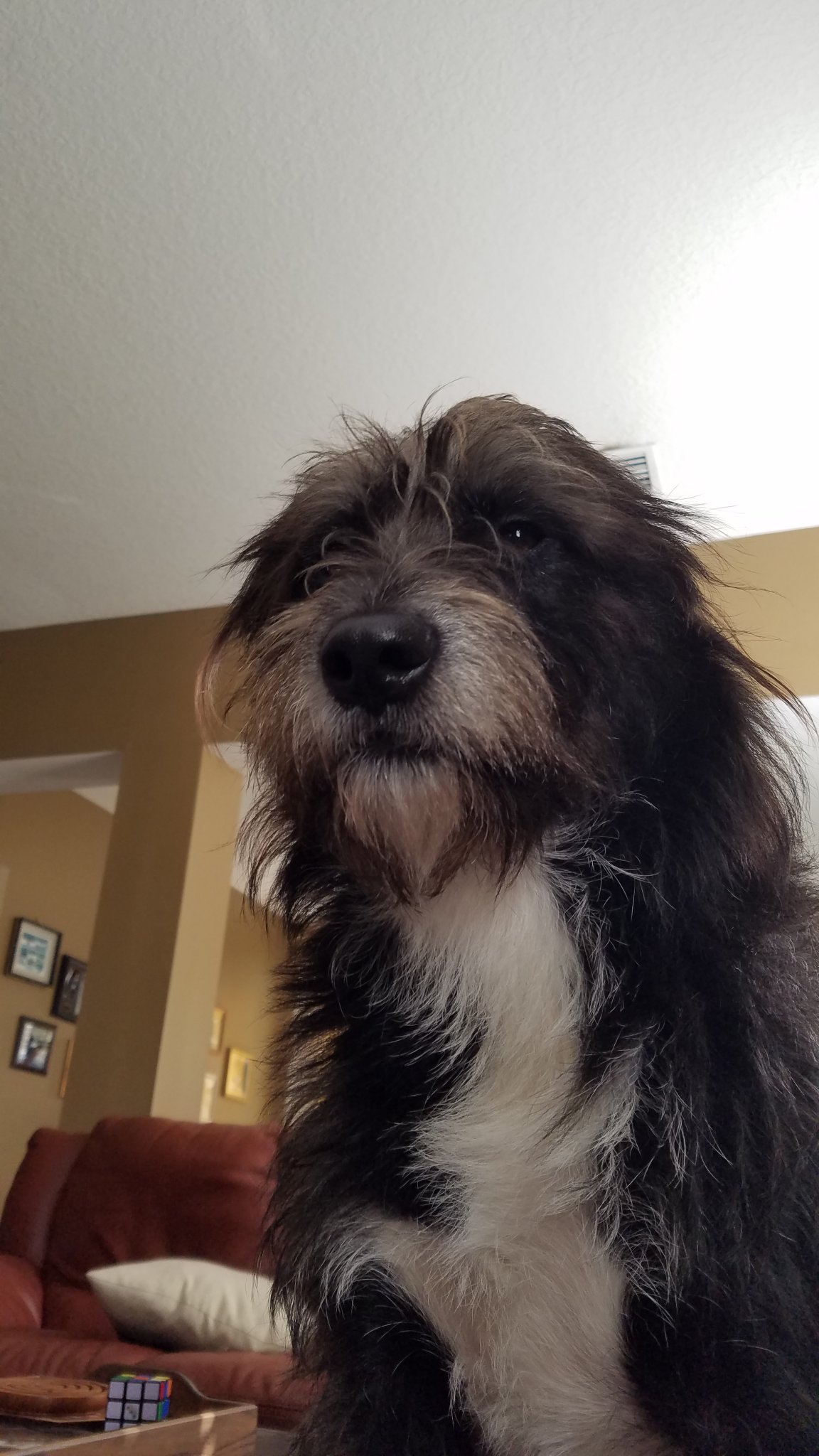 20190923_161018.jpg