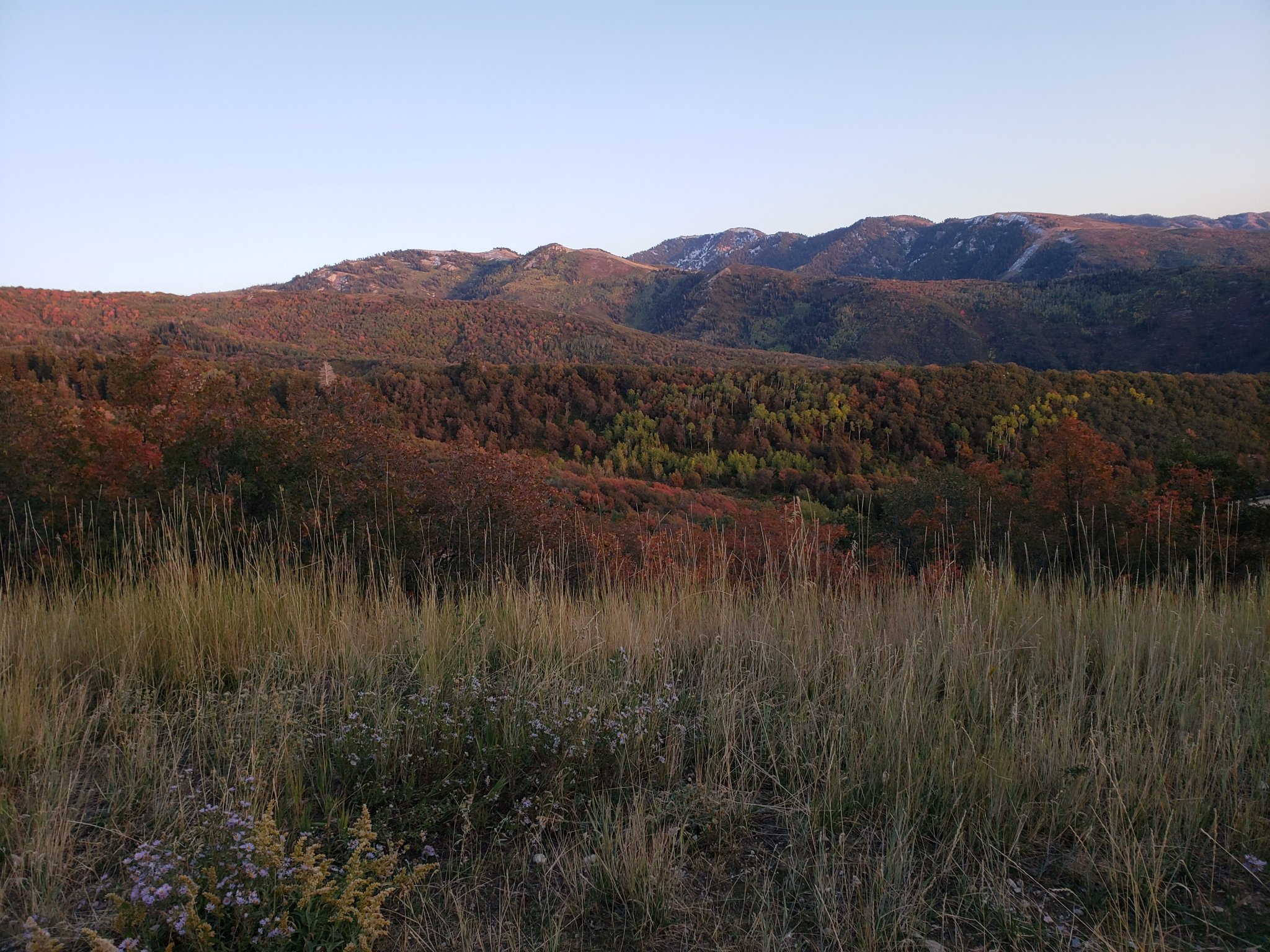 20191001_185654.jpg
